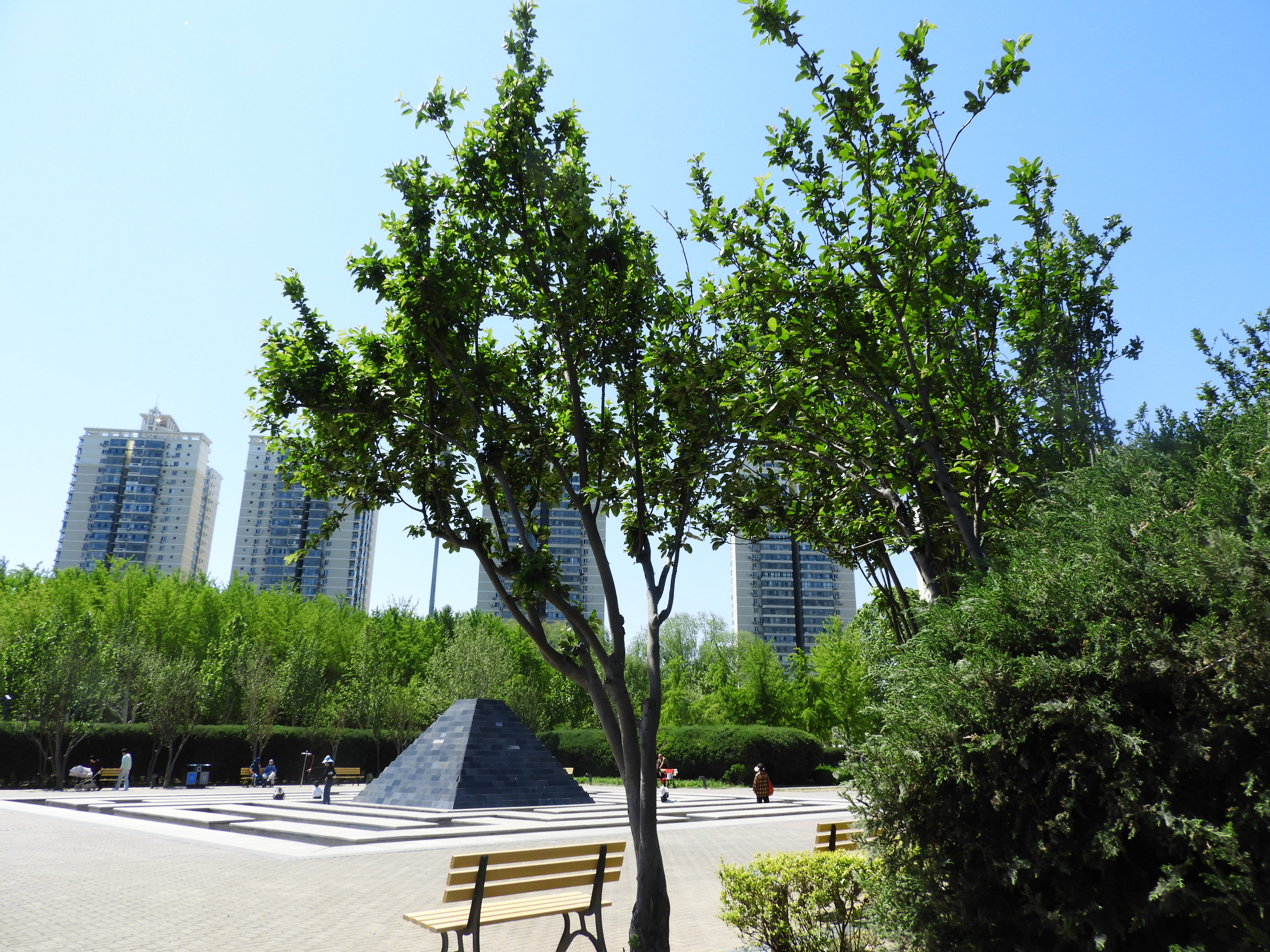 DSCN6349.JPG
