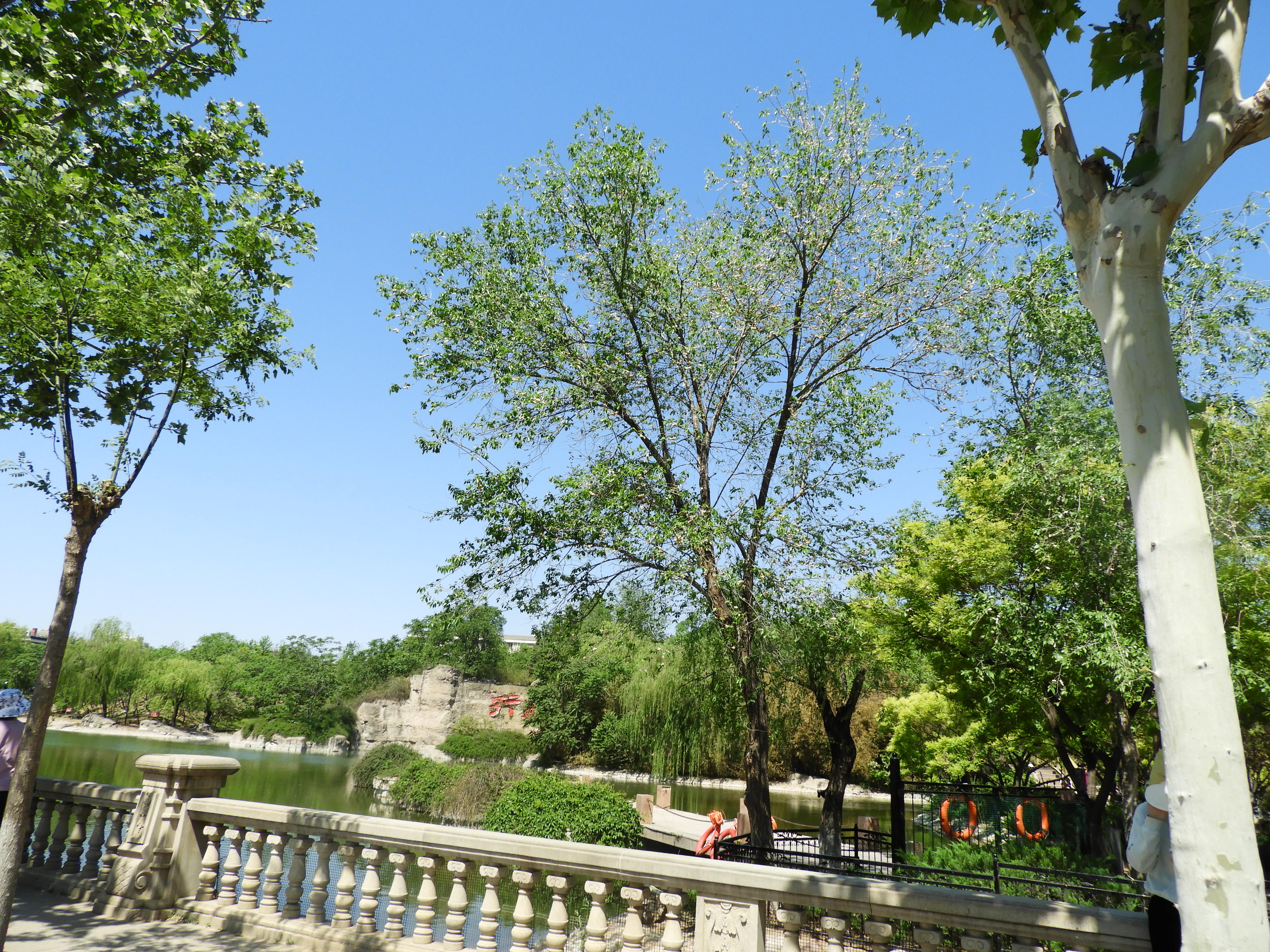 DSCN6348.JPG
