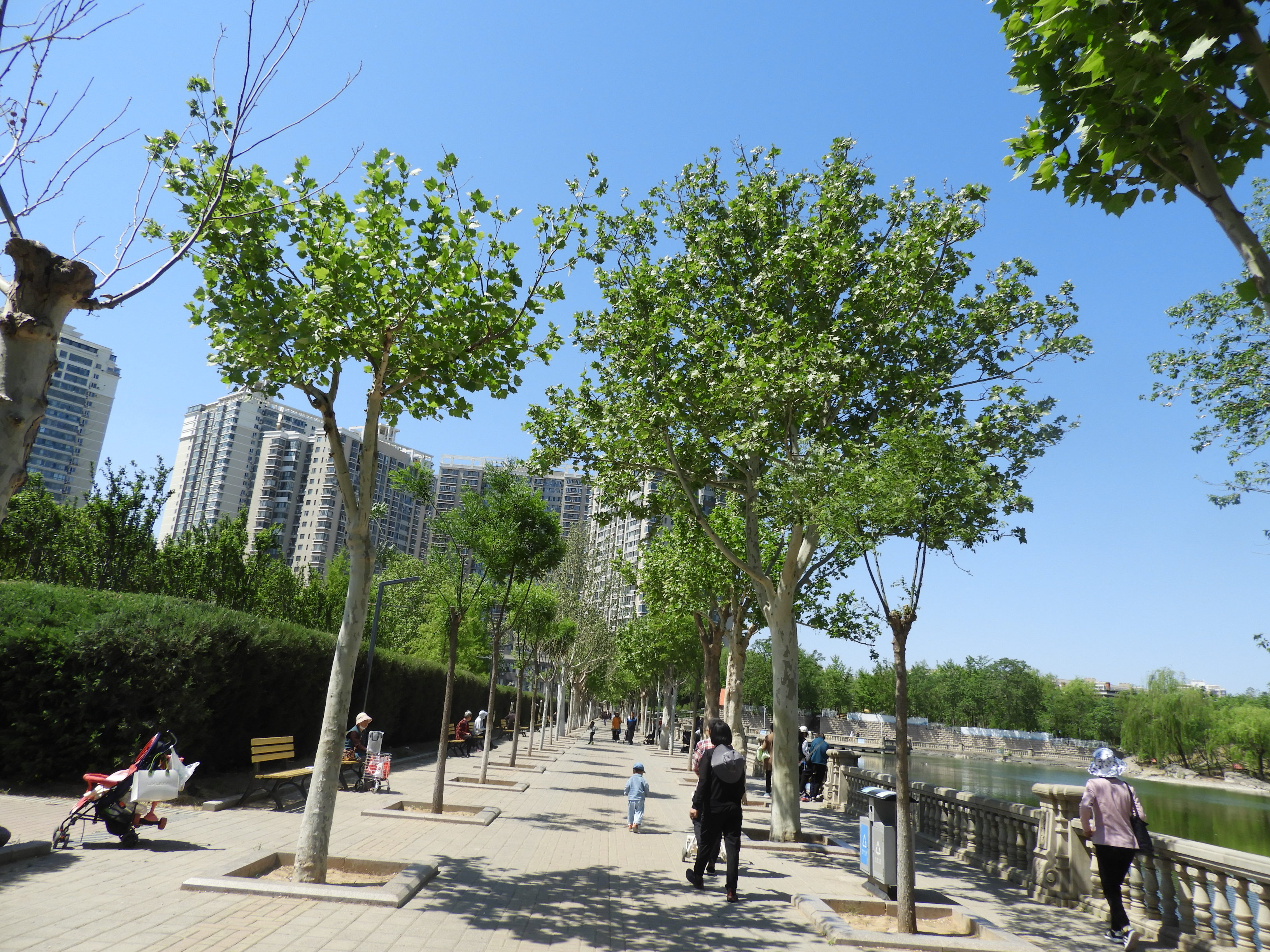 DSCN6347.JPG