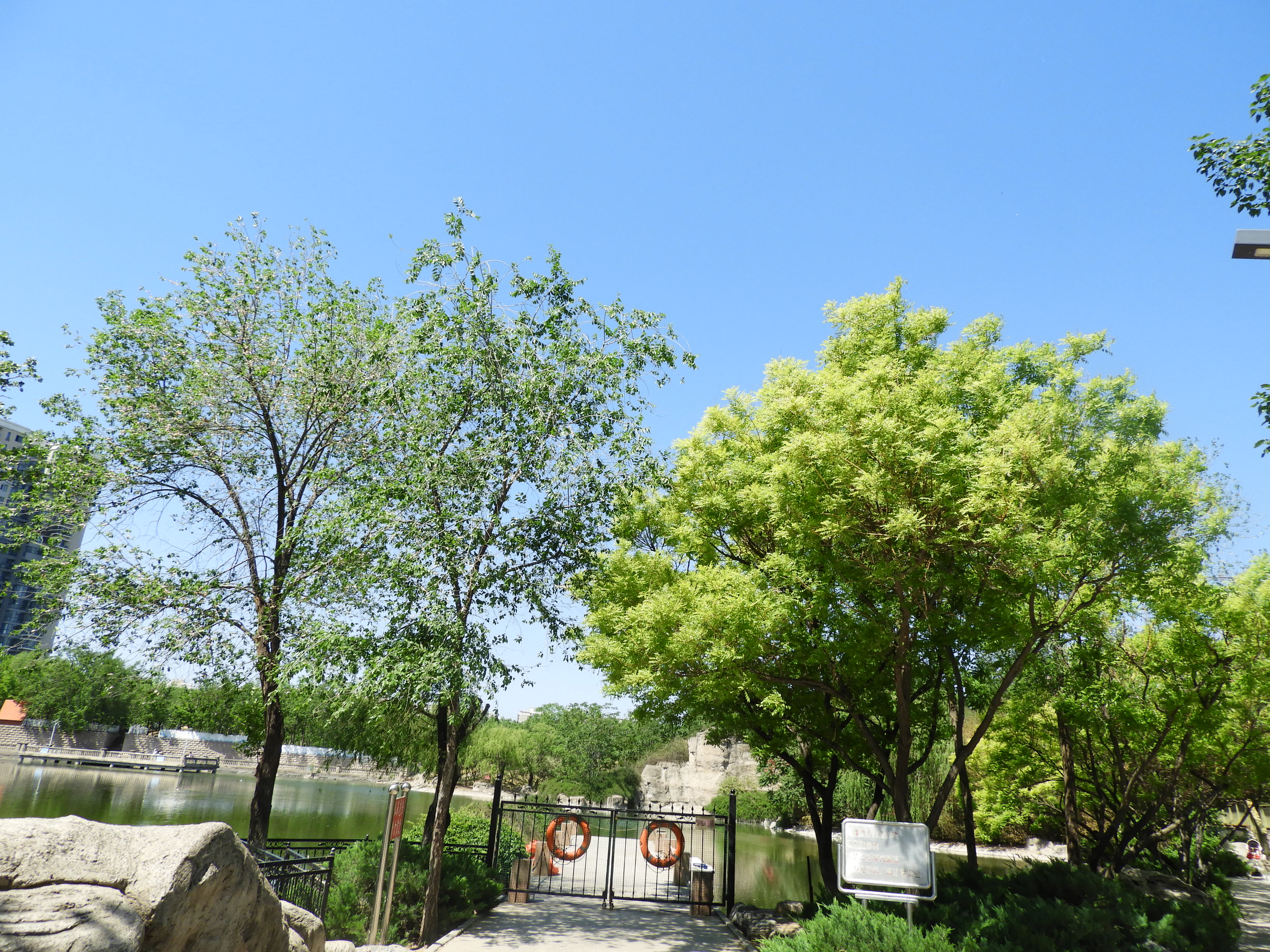 DSCN6345.JPG
