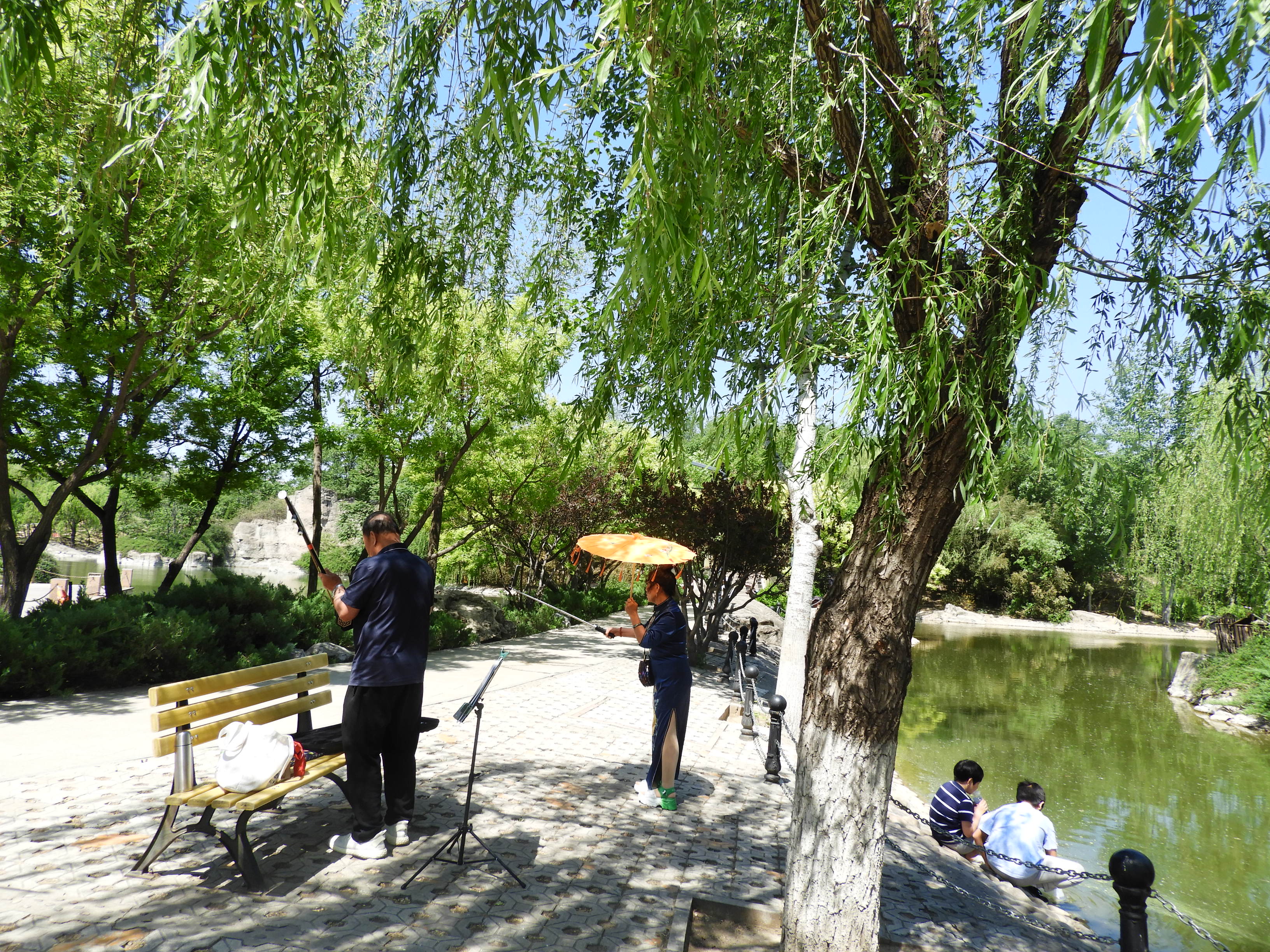 DSCN6342.JPG