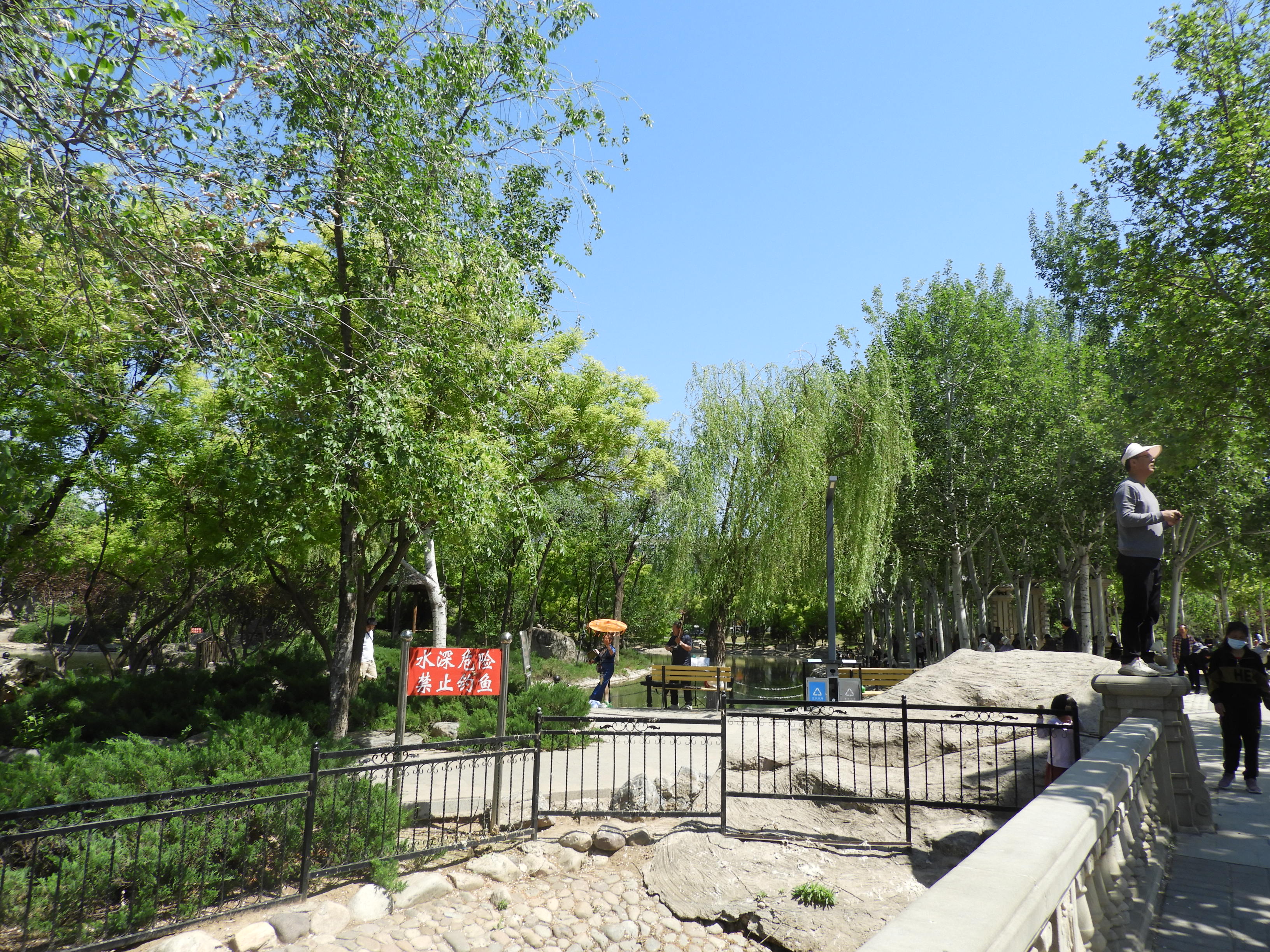 DSCN6337.JPG