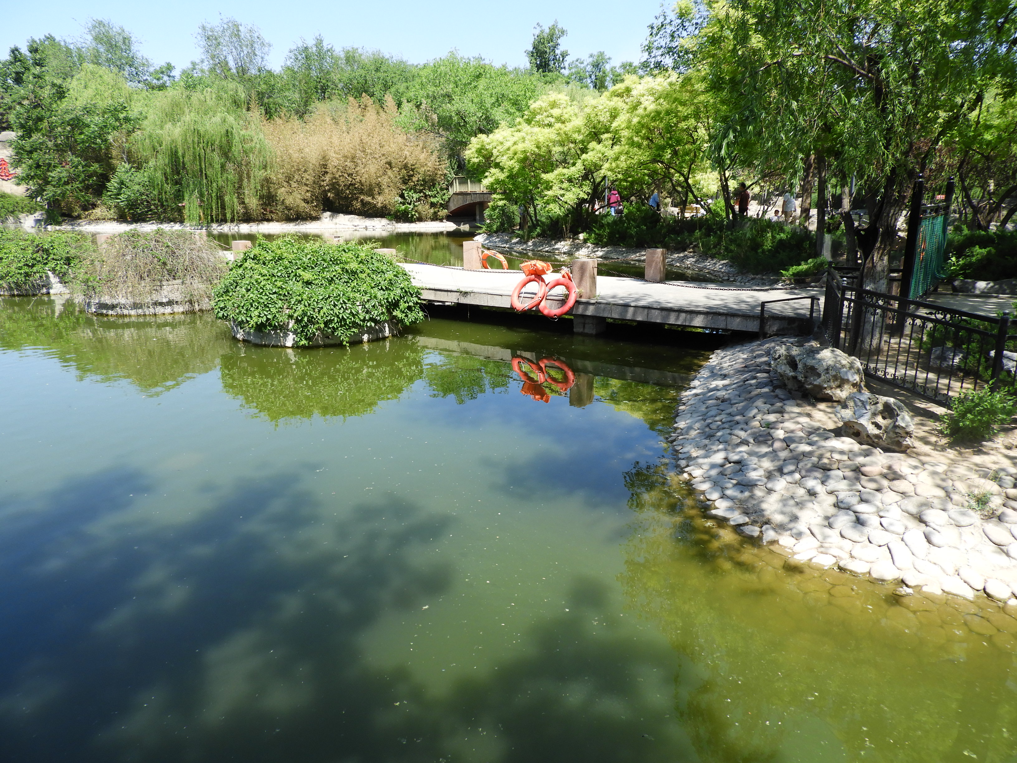 DSCN6336.JPG