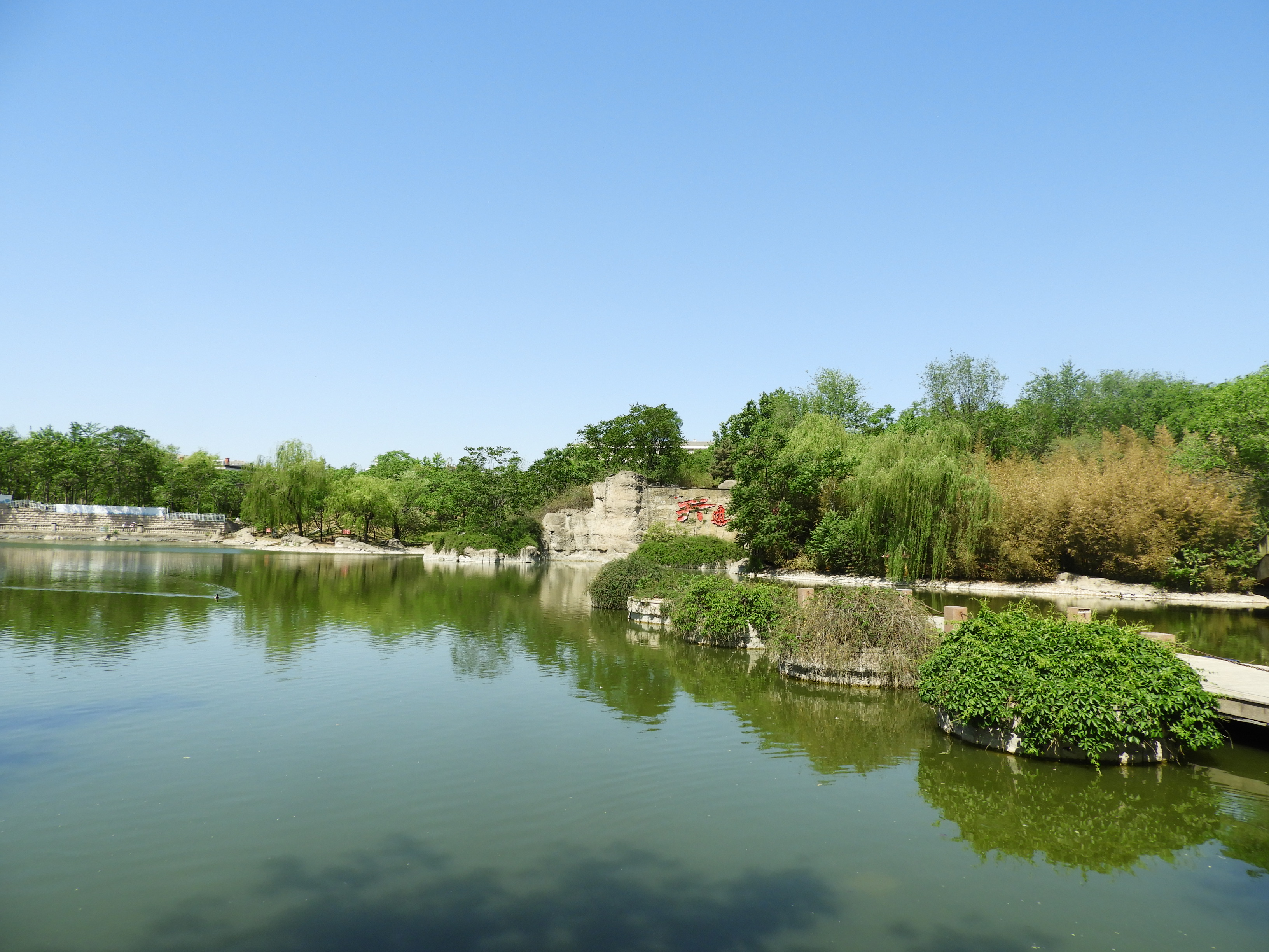 DSCN6334.JPG