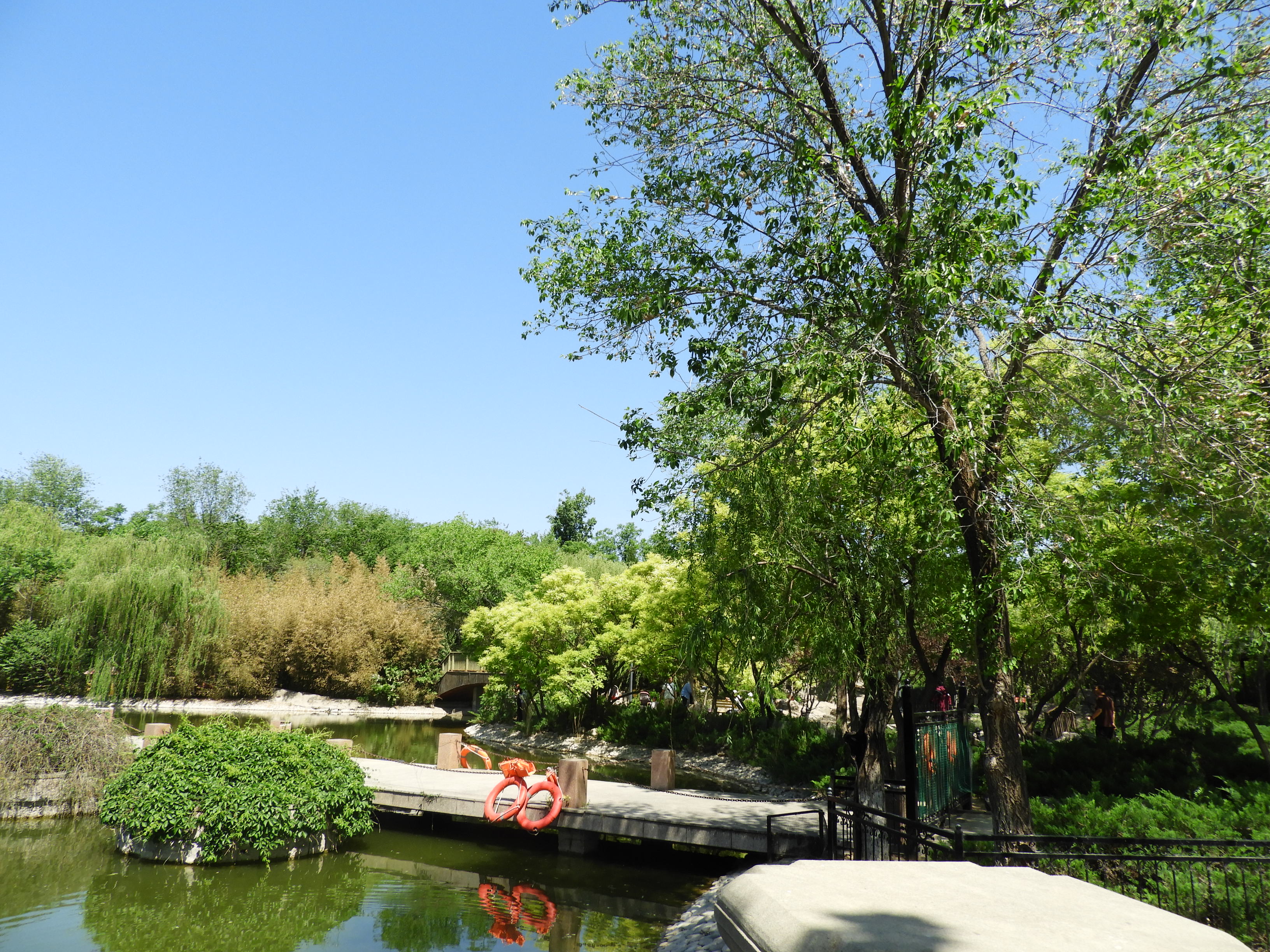 DSCN6333.JPG
