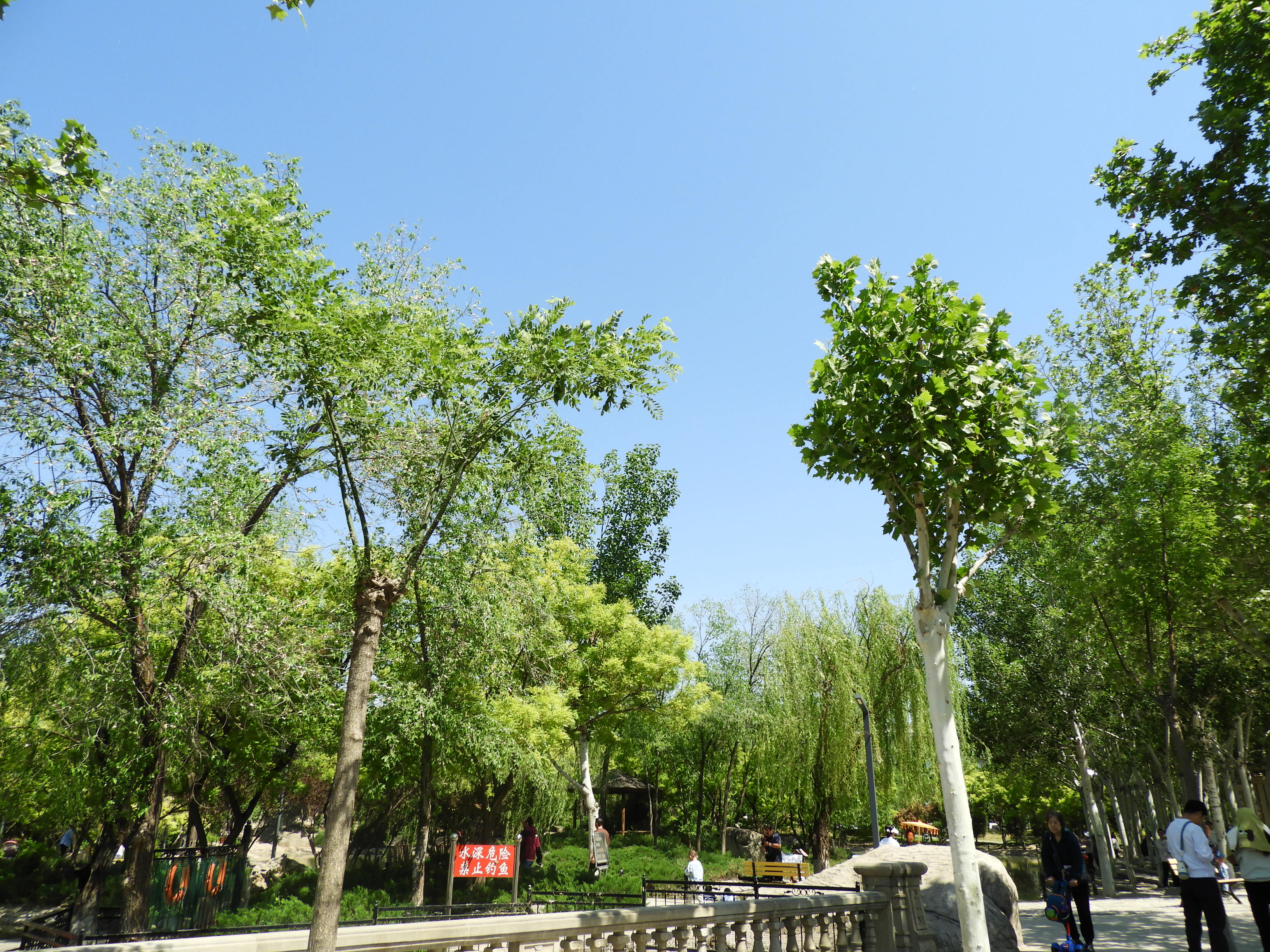 DSCN6332.JPG