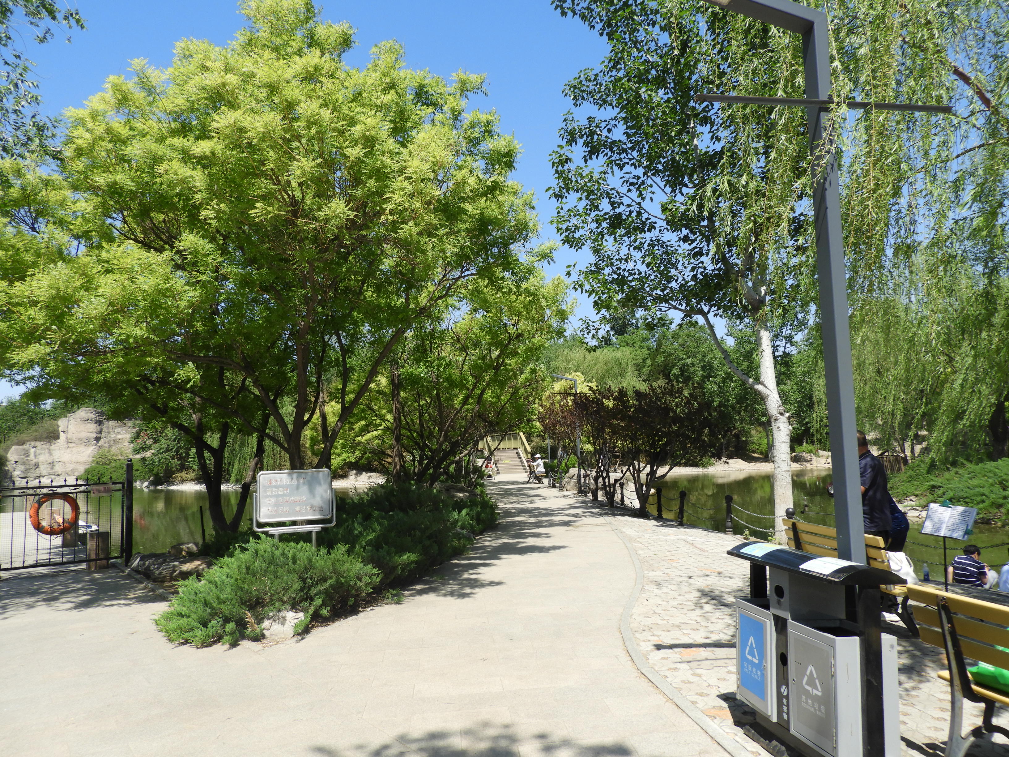 DSCN6339.JPG