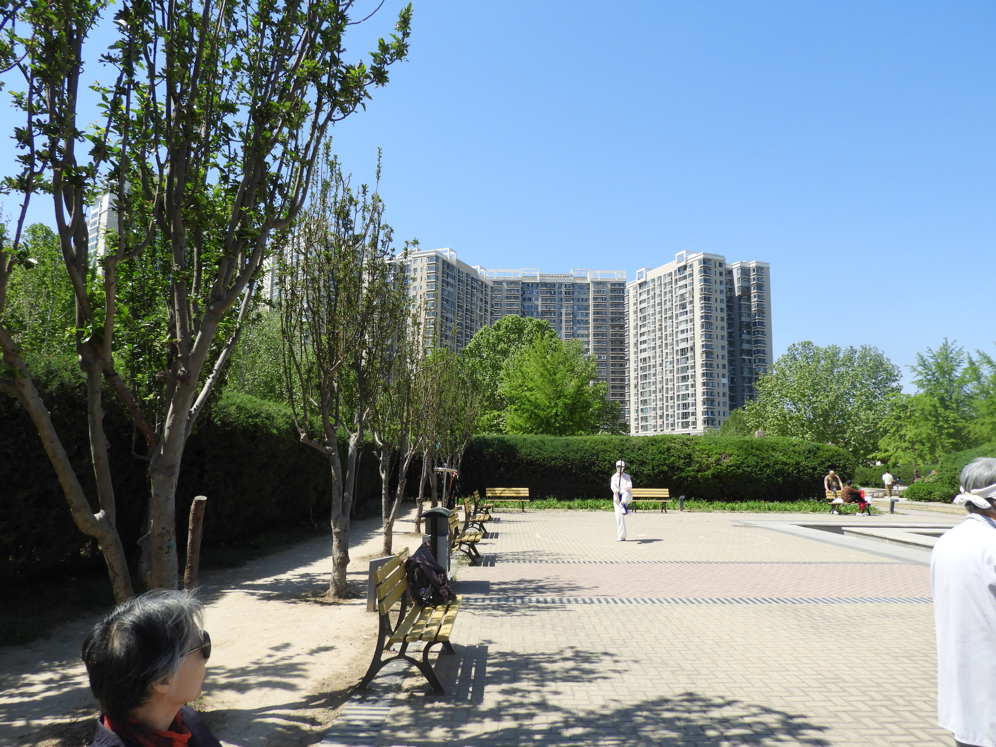 DSCN6325.JPG