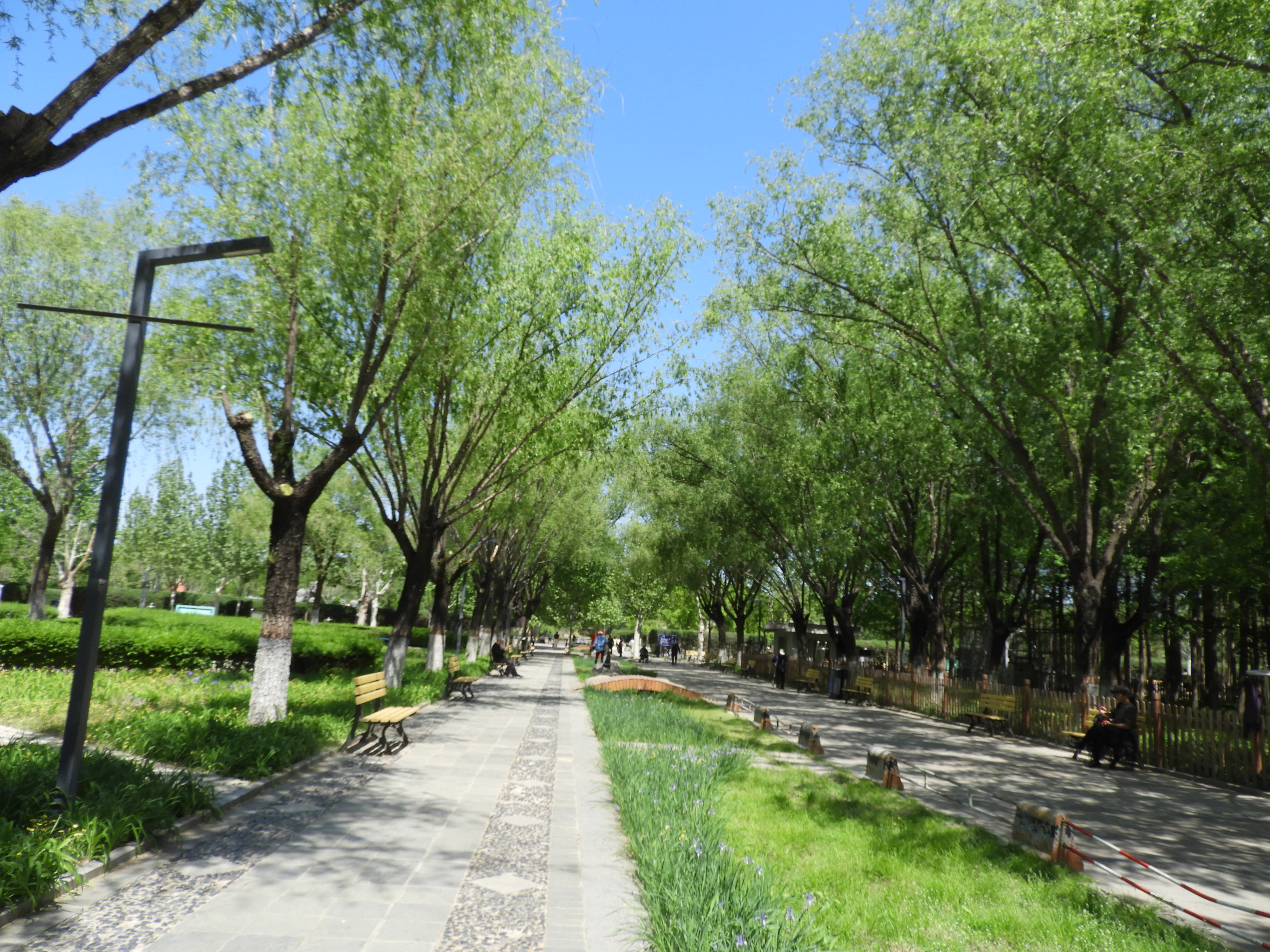 DSCN6319.JPG