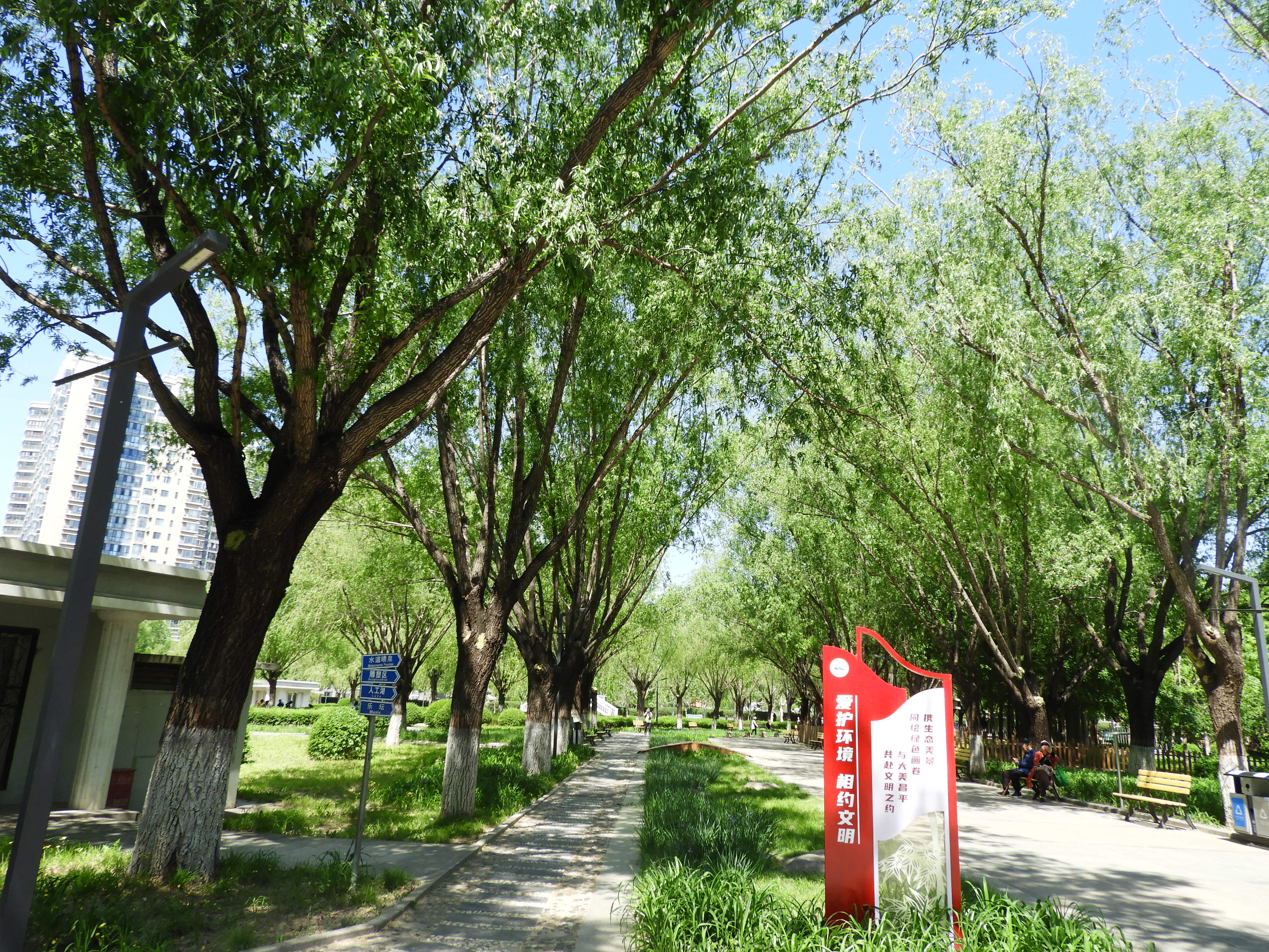 DSCN6317.JPG