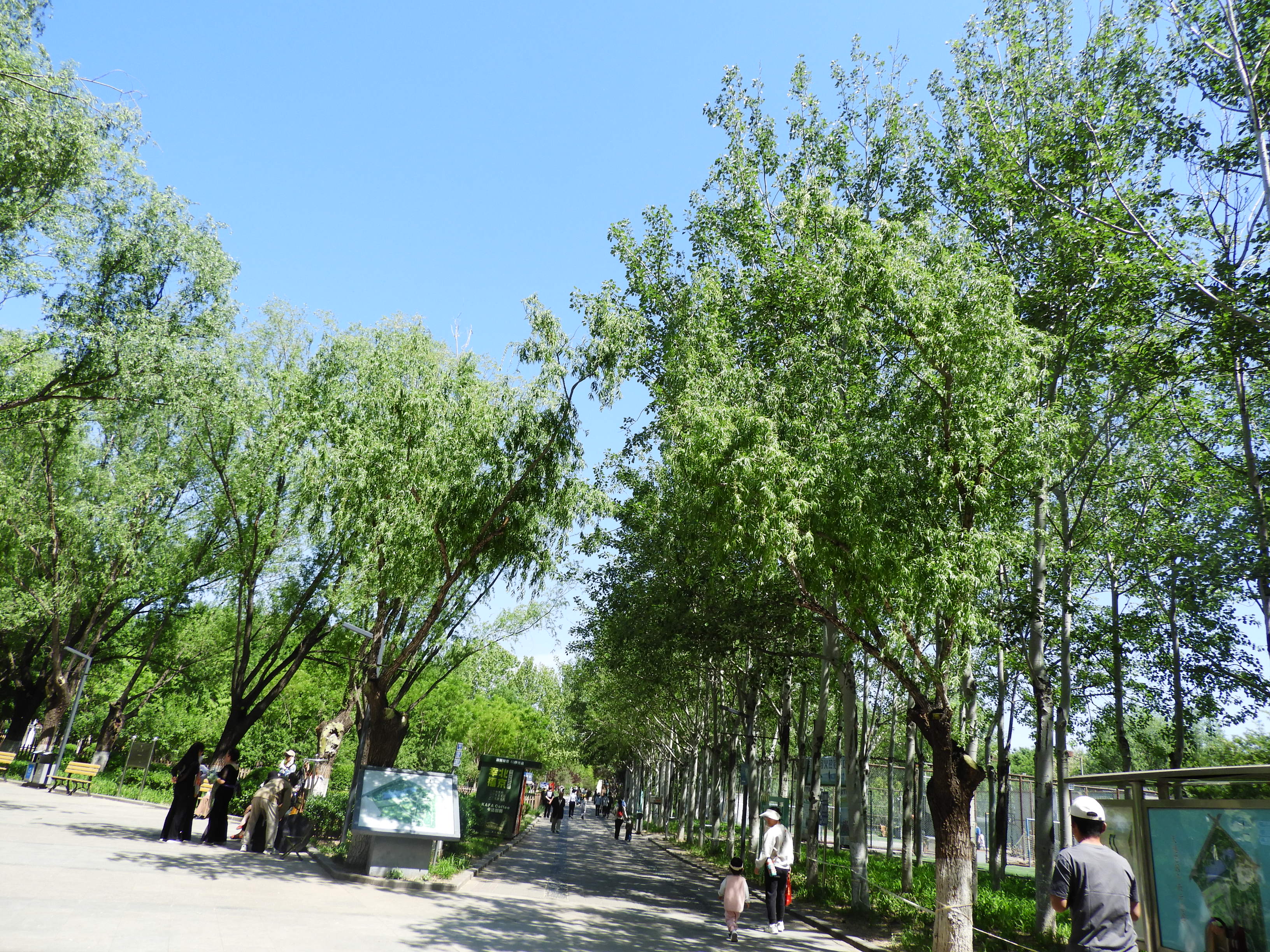 DSCN6316.JPG