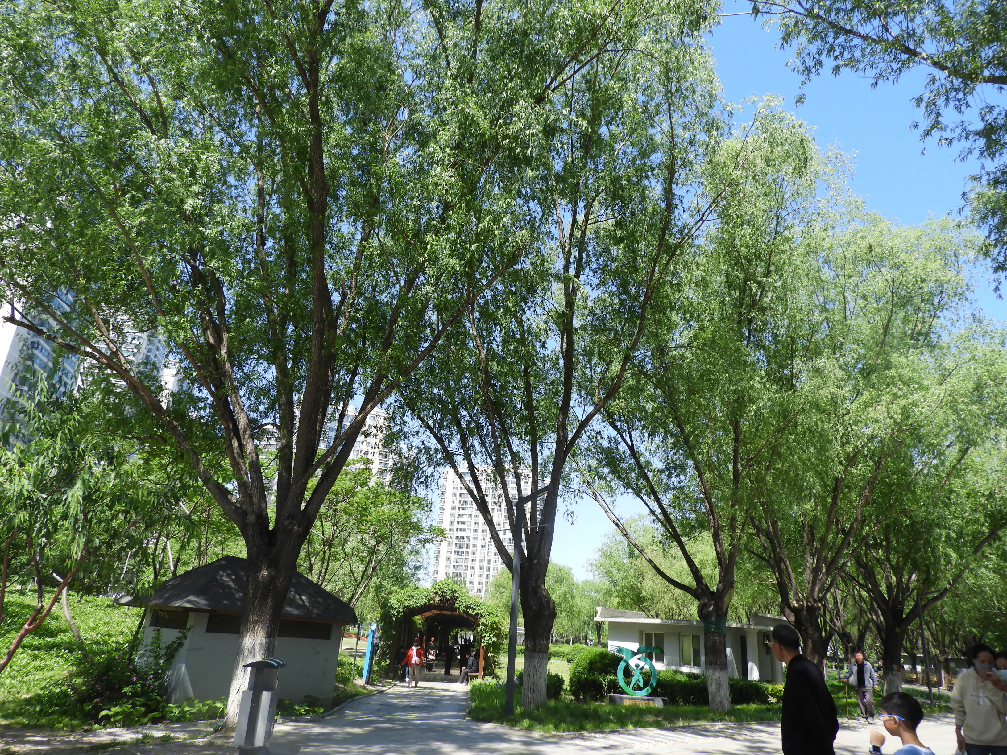 DSCN6315.JPG
