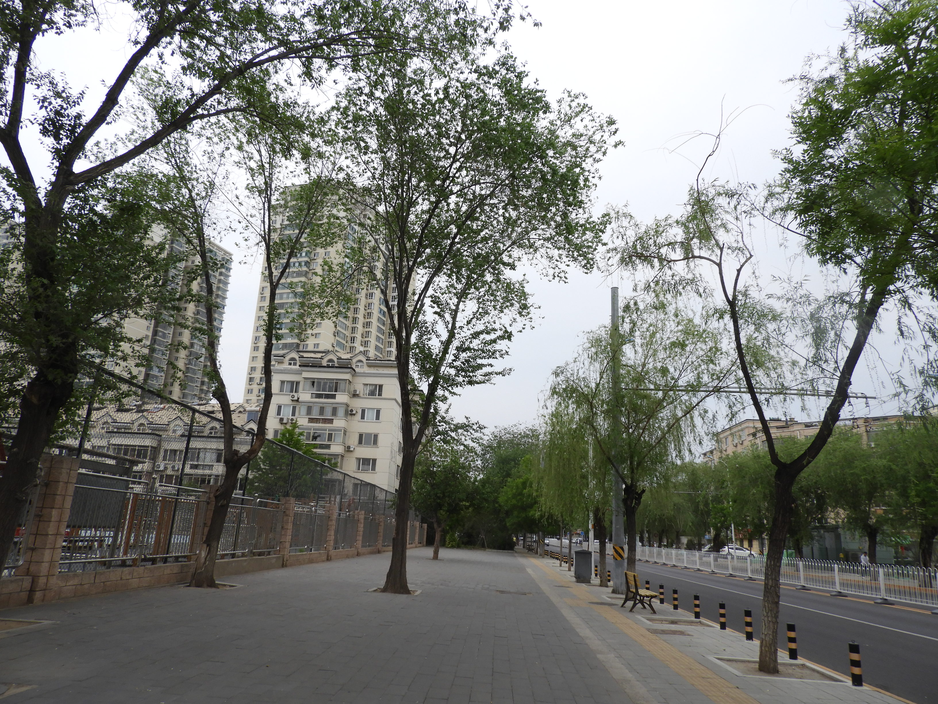 DSCN6382.JPG