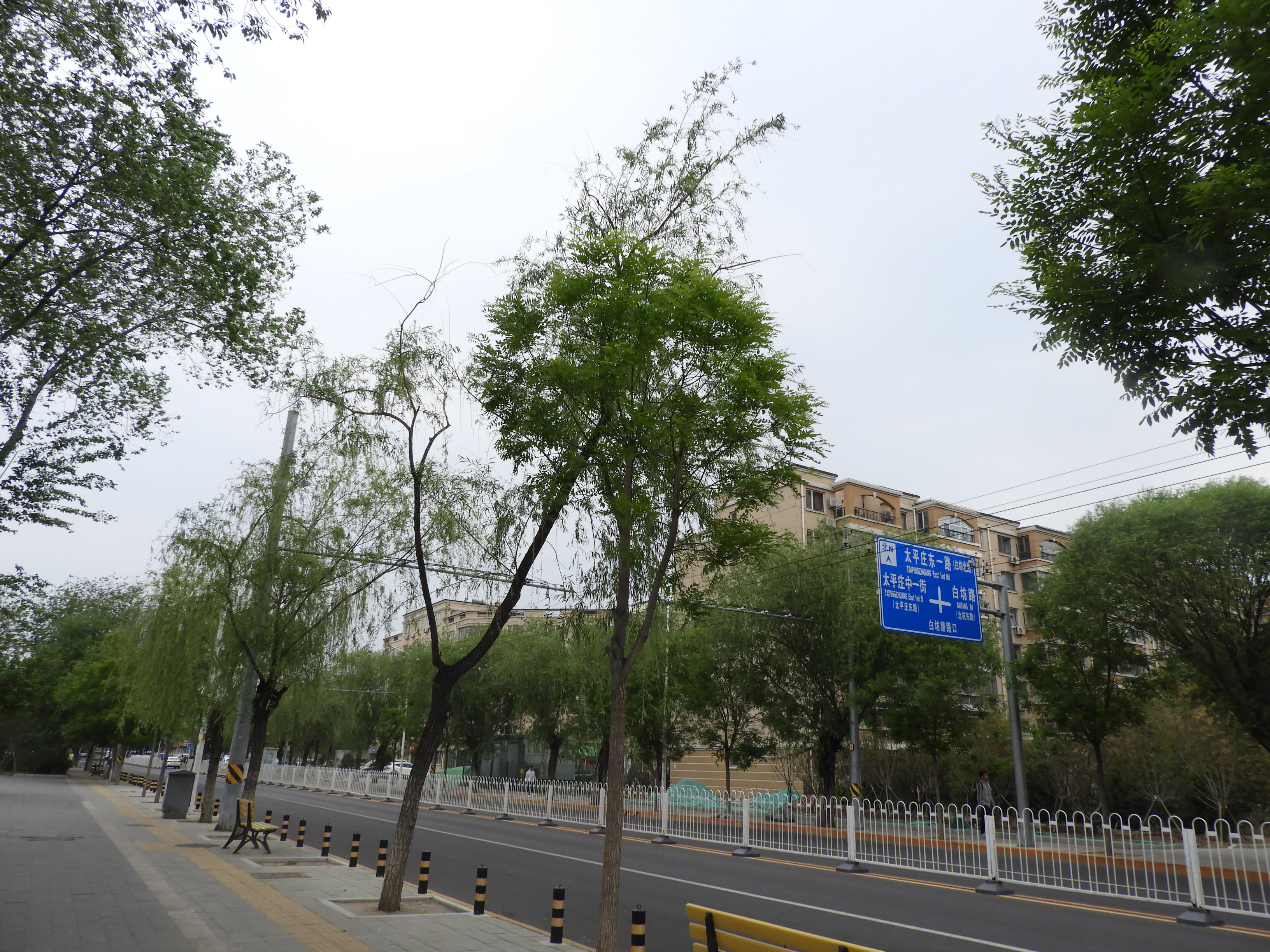DSCN6381.JPG
