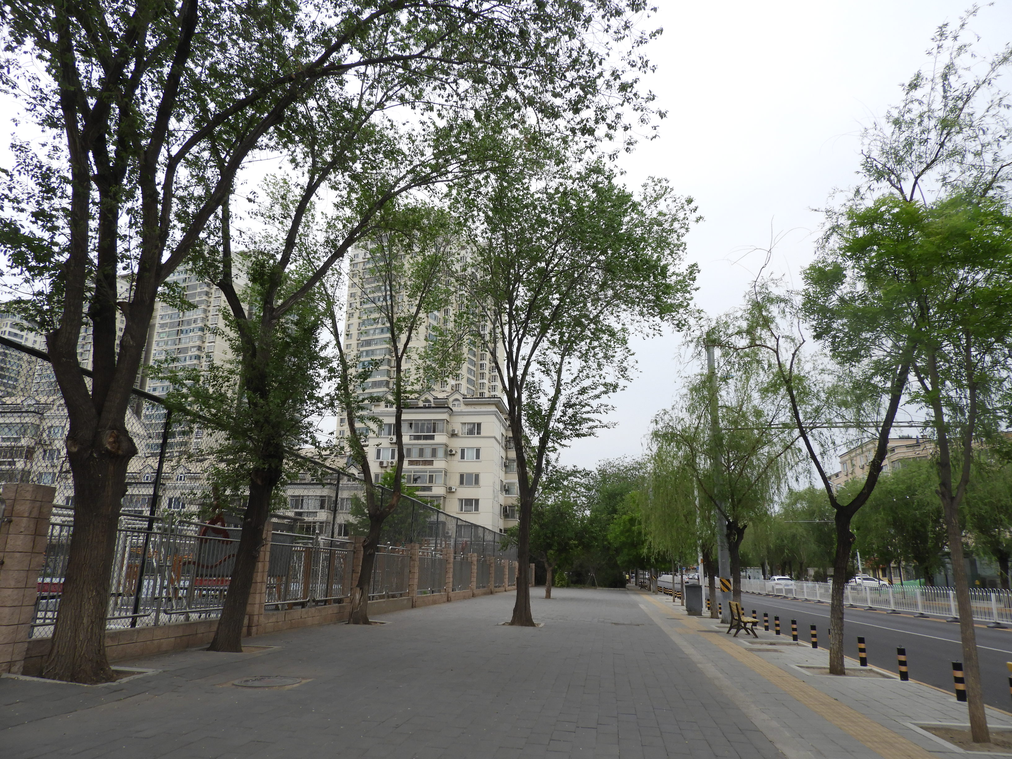 DSCN6380.JPG