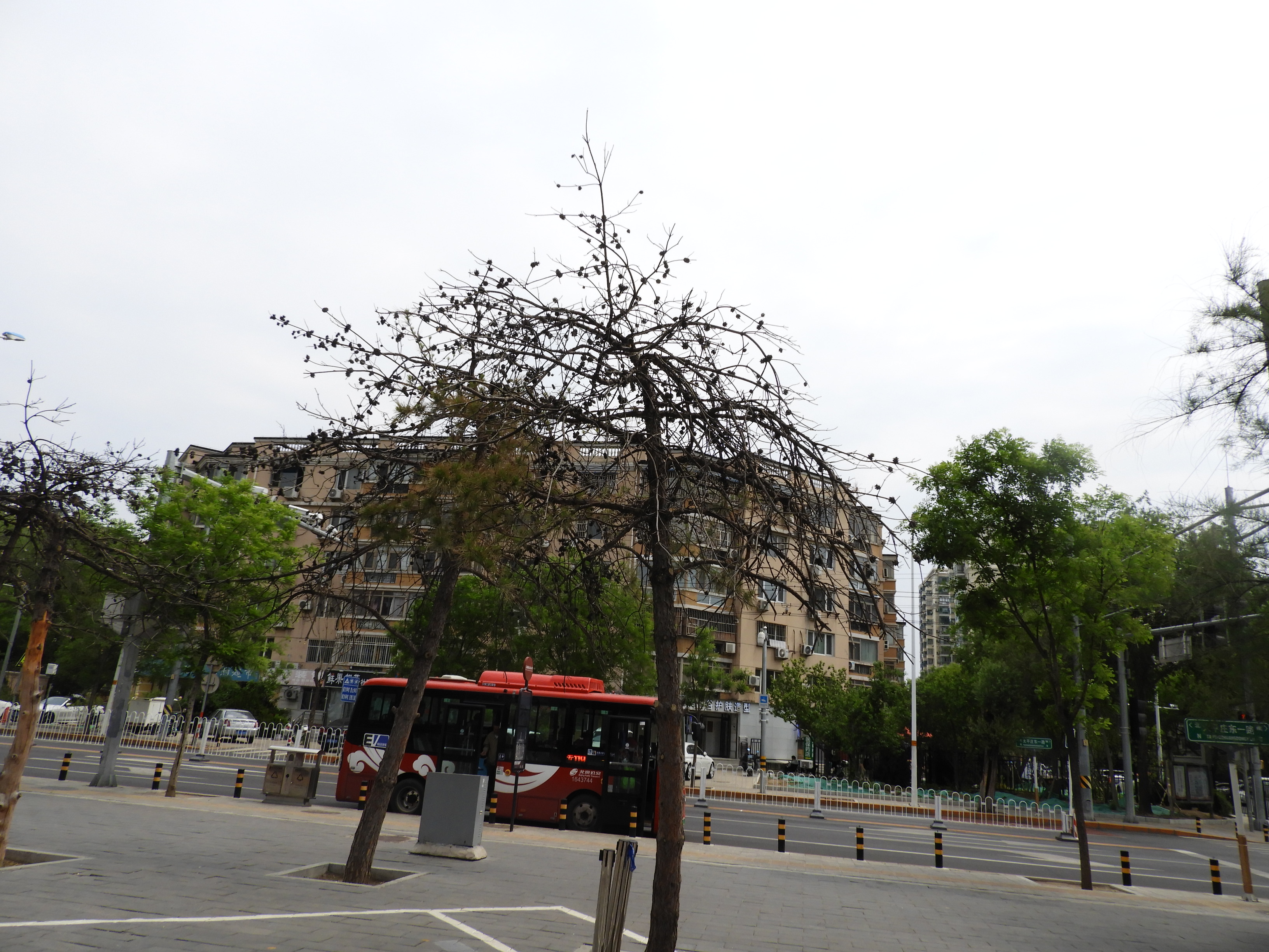 DSCN6371.JPG