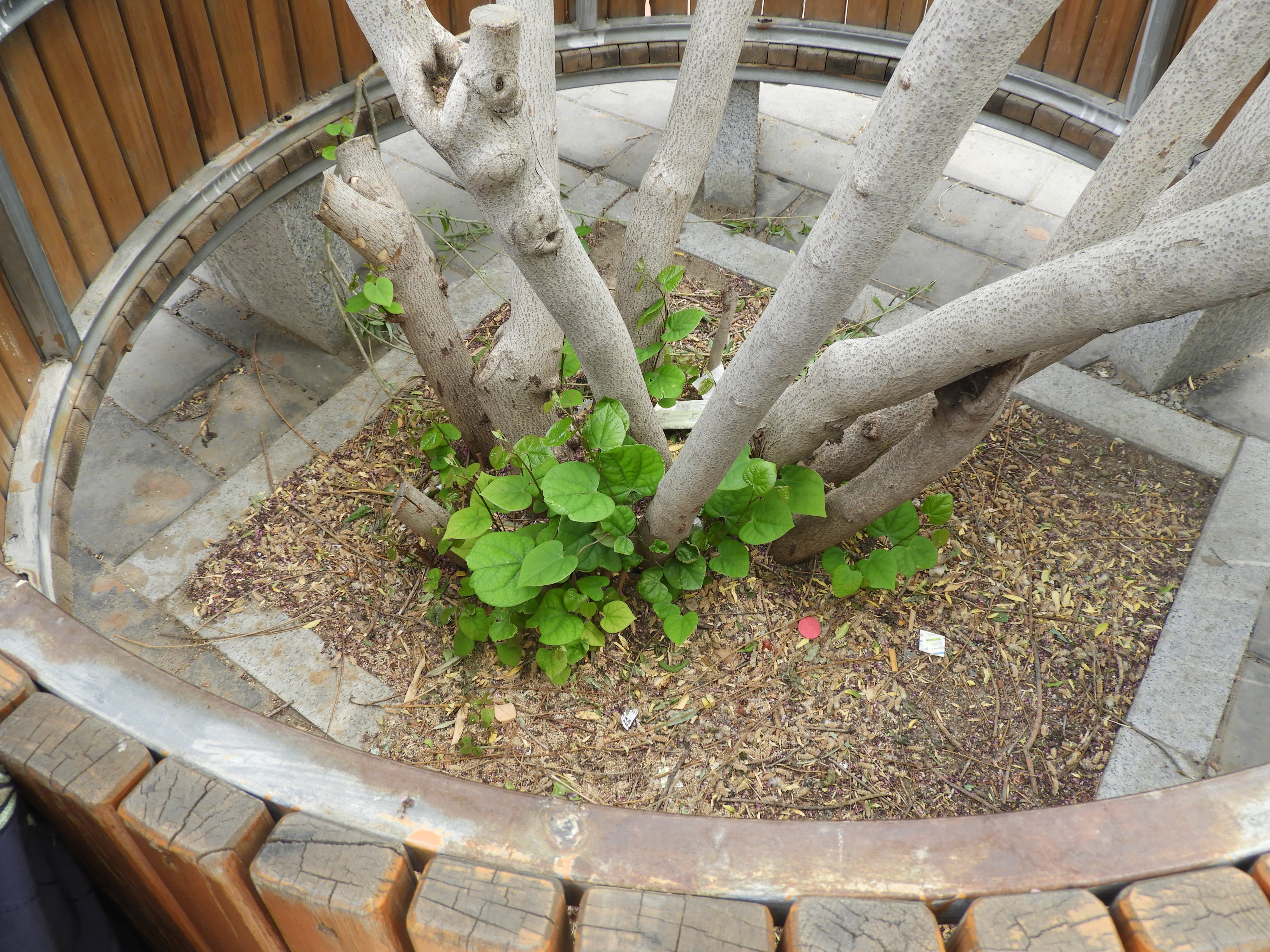 DSCN6365.JPG