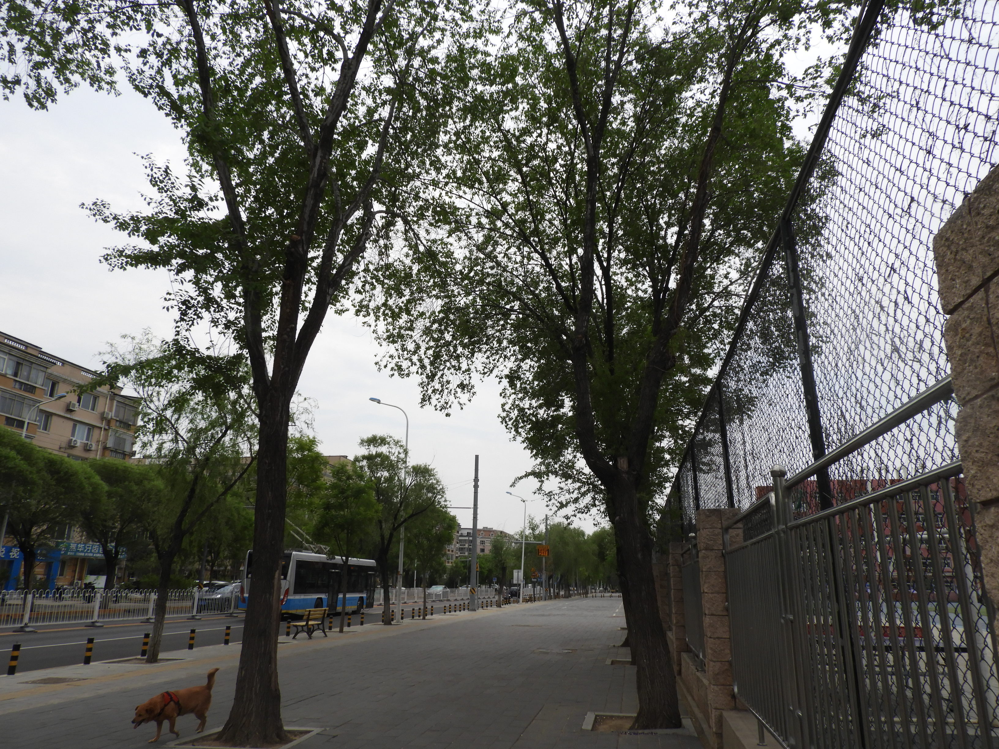 DSCN6362.JPG