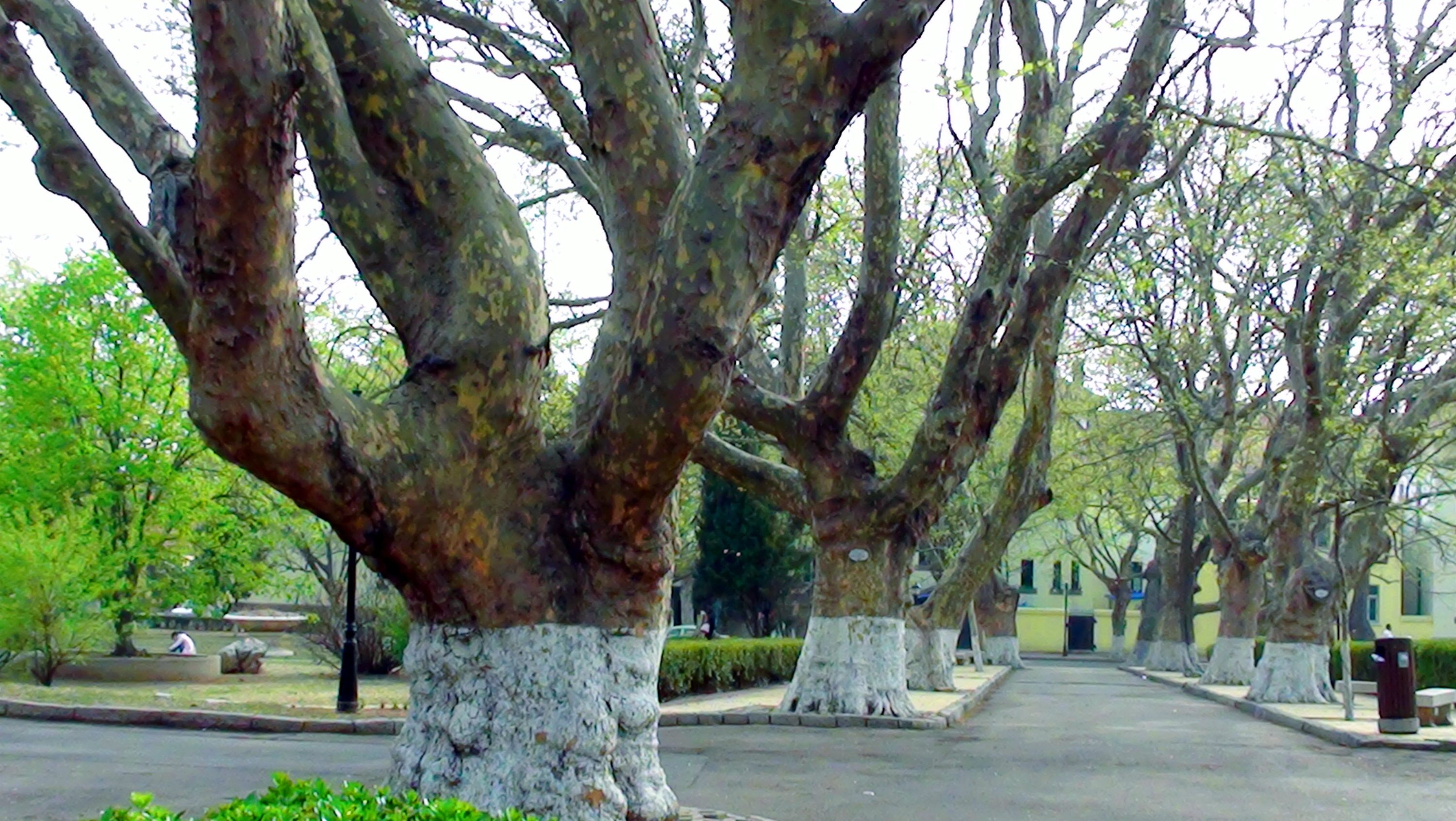DSC03300.JPG
