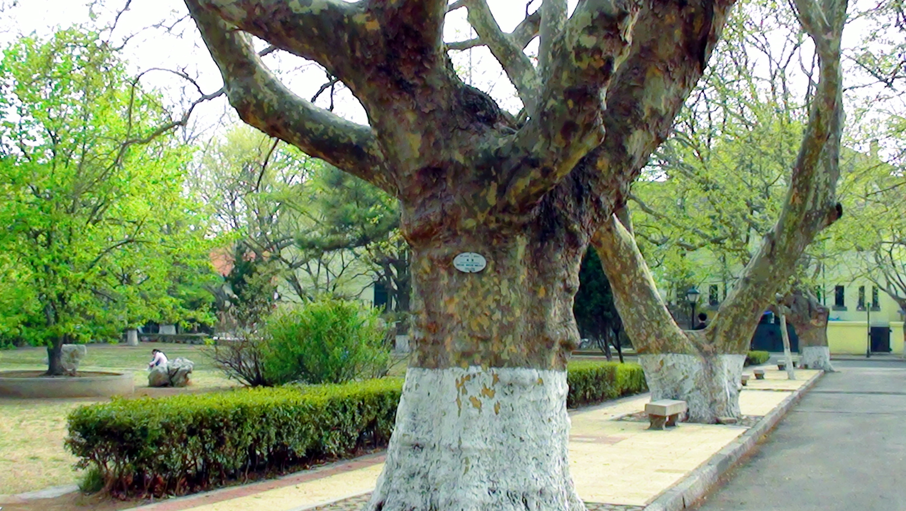 DSC03302.JPG