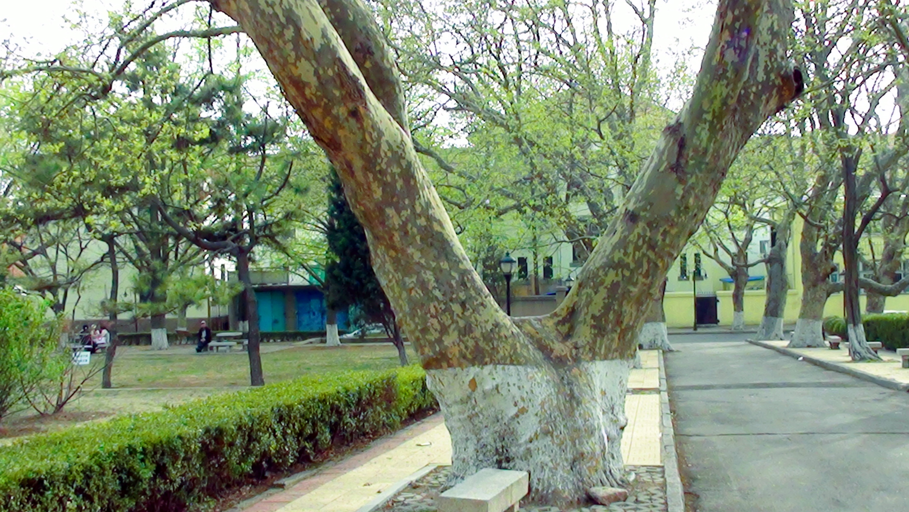 DSC03304.JPG