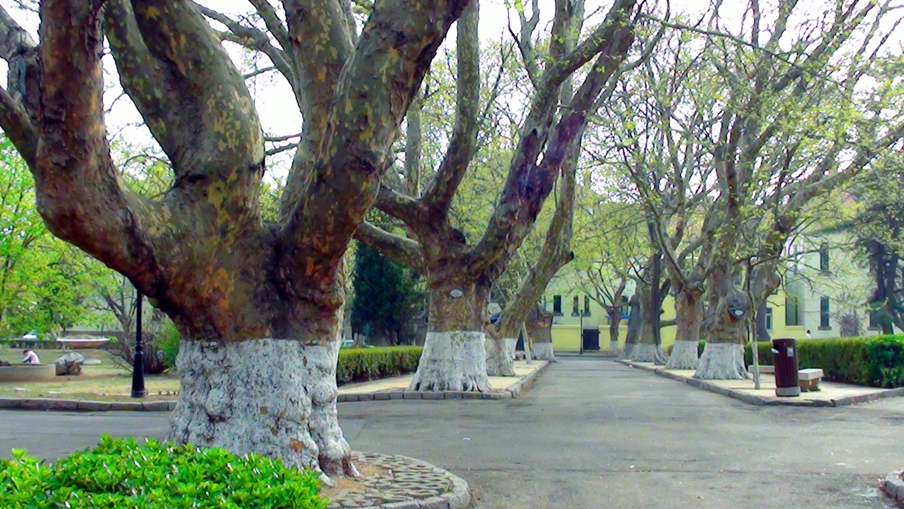 DSC03301.JPG