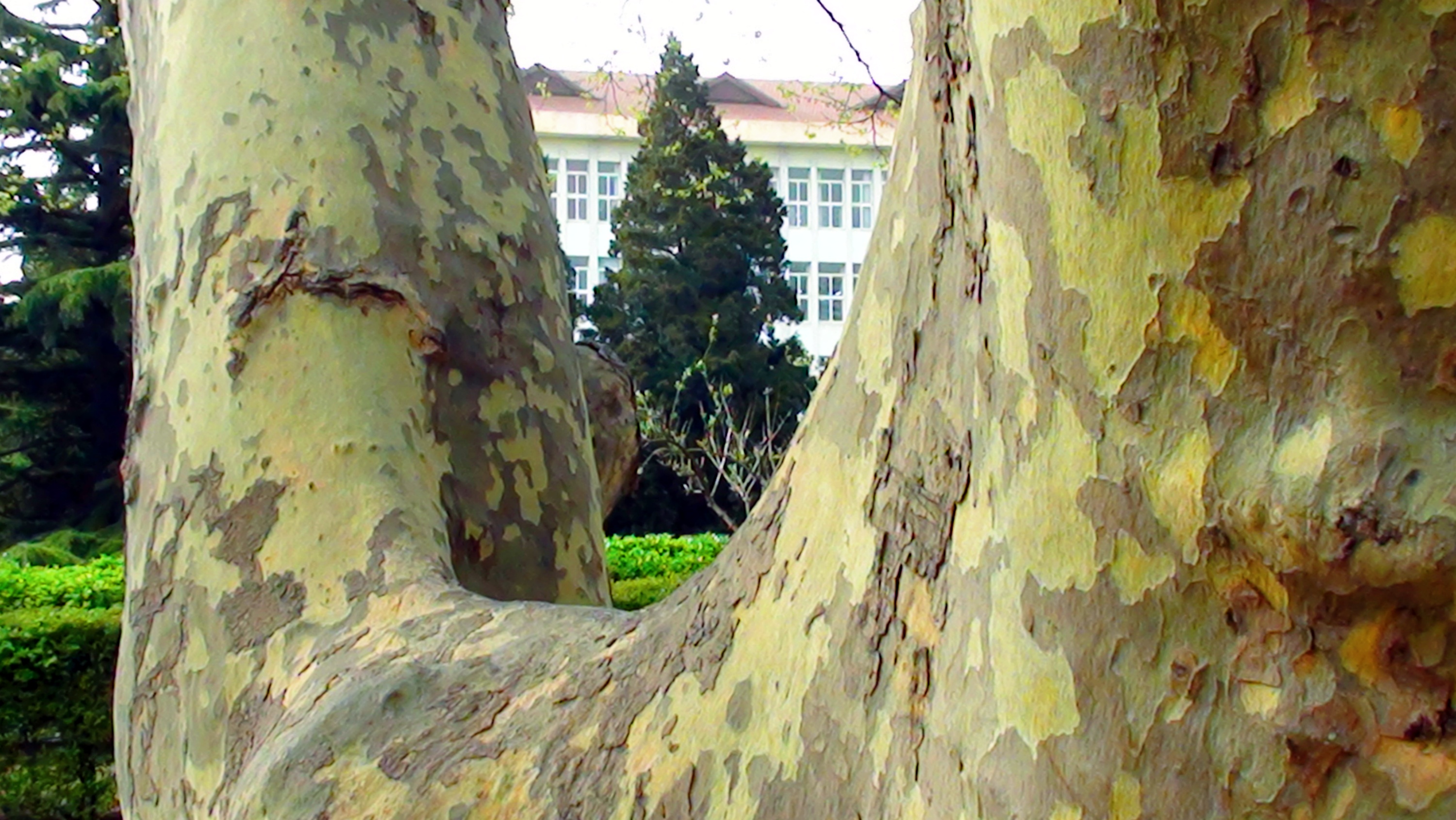 DSC03305.JPG