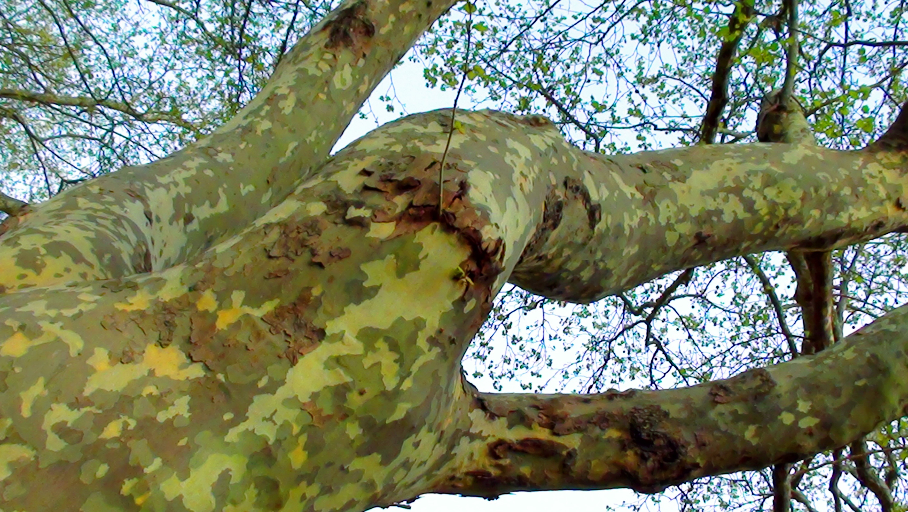DSC03307.JPG
