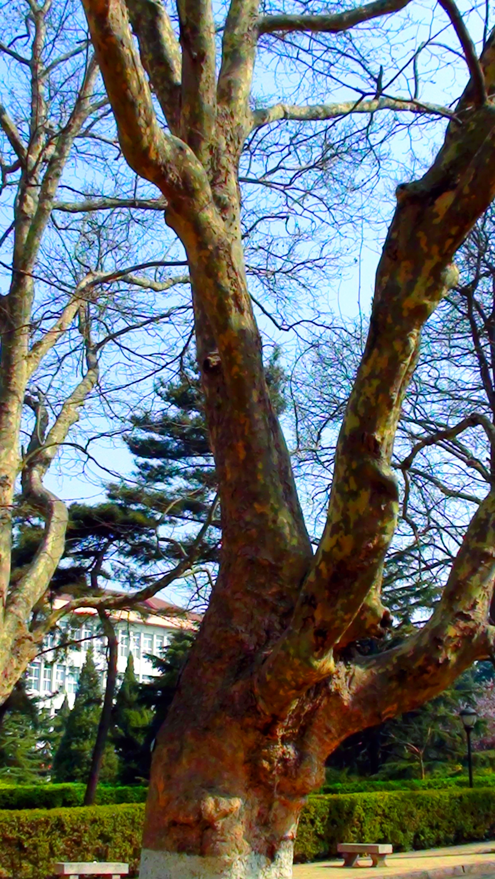 DSC03308.JPG