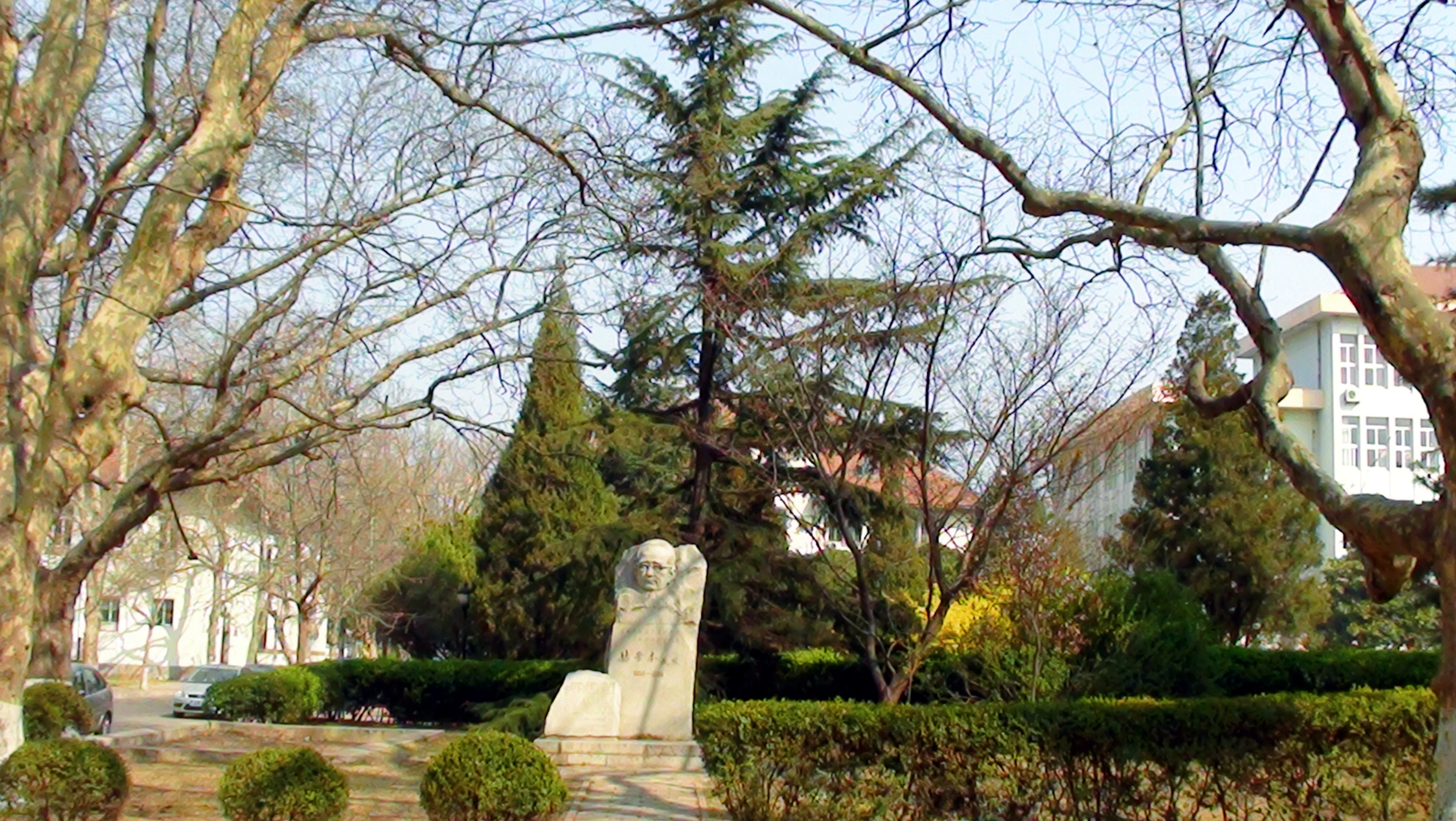 DSC03988.JPG