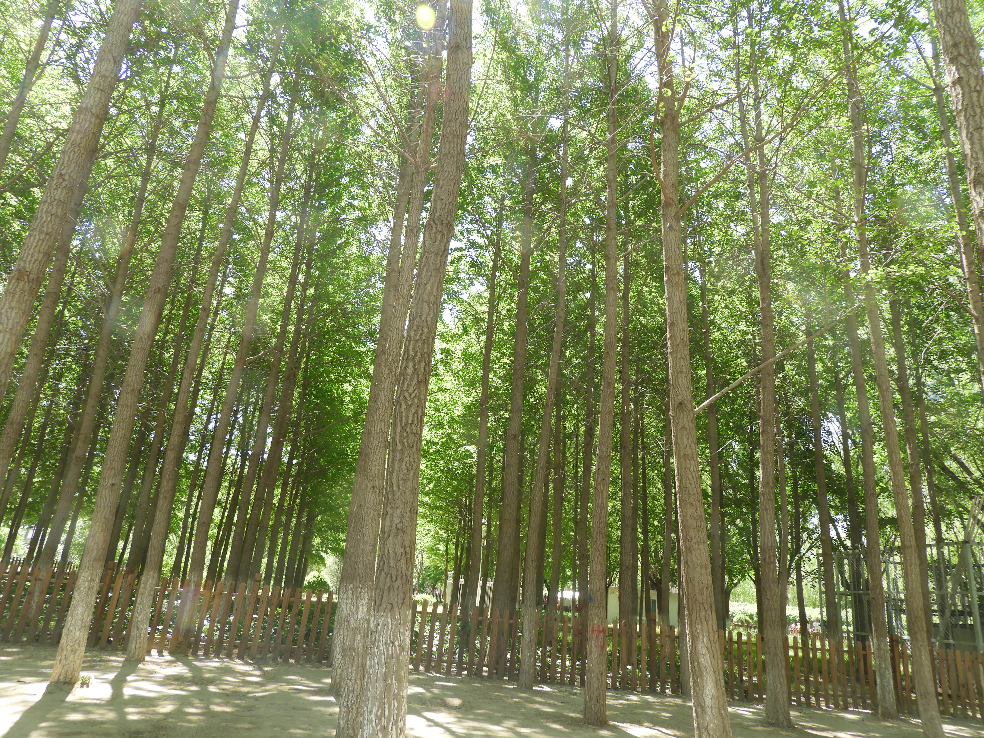 DSCN6451.JPG