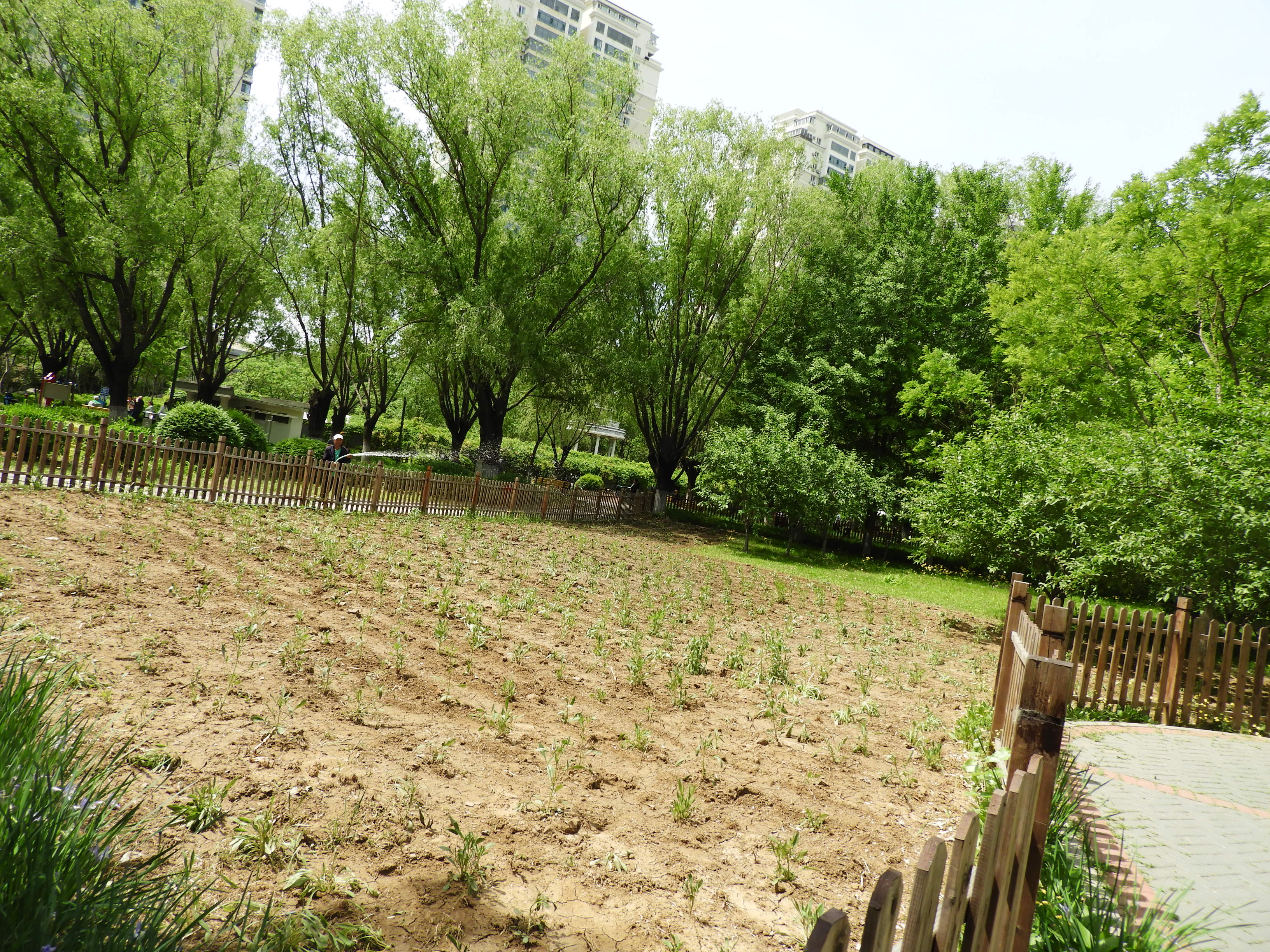 DSCN6543.JPG