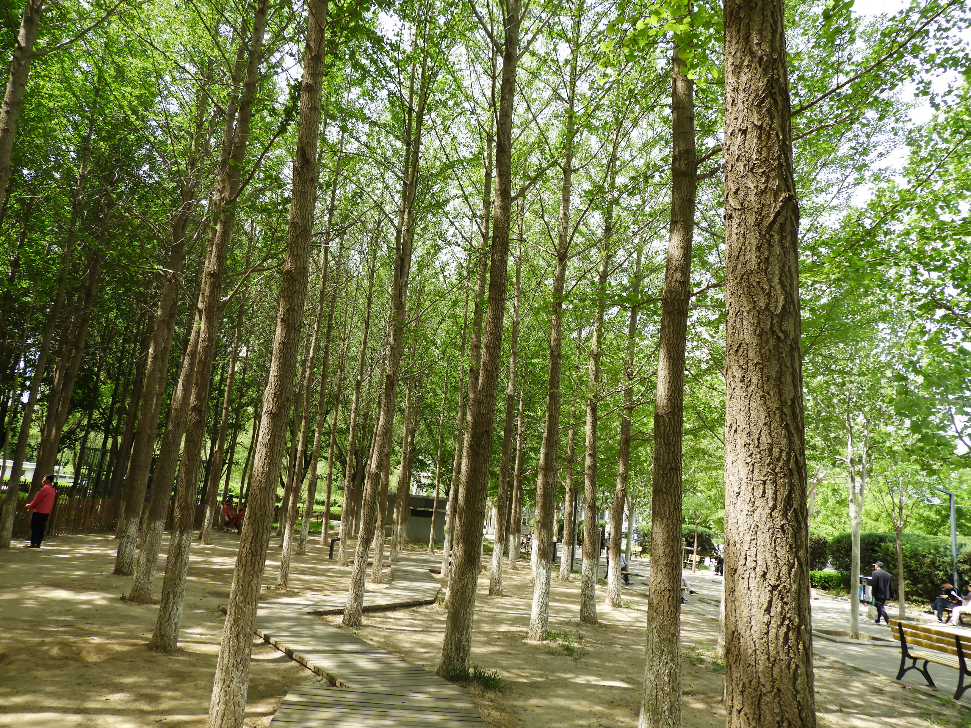 DSCN6542.JPG