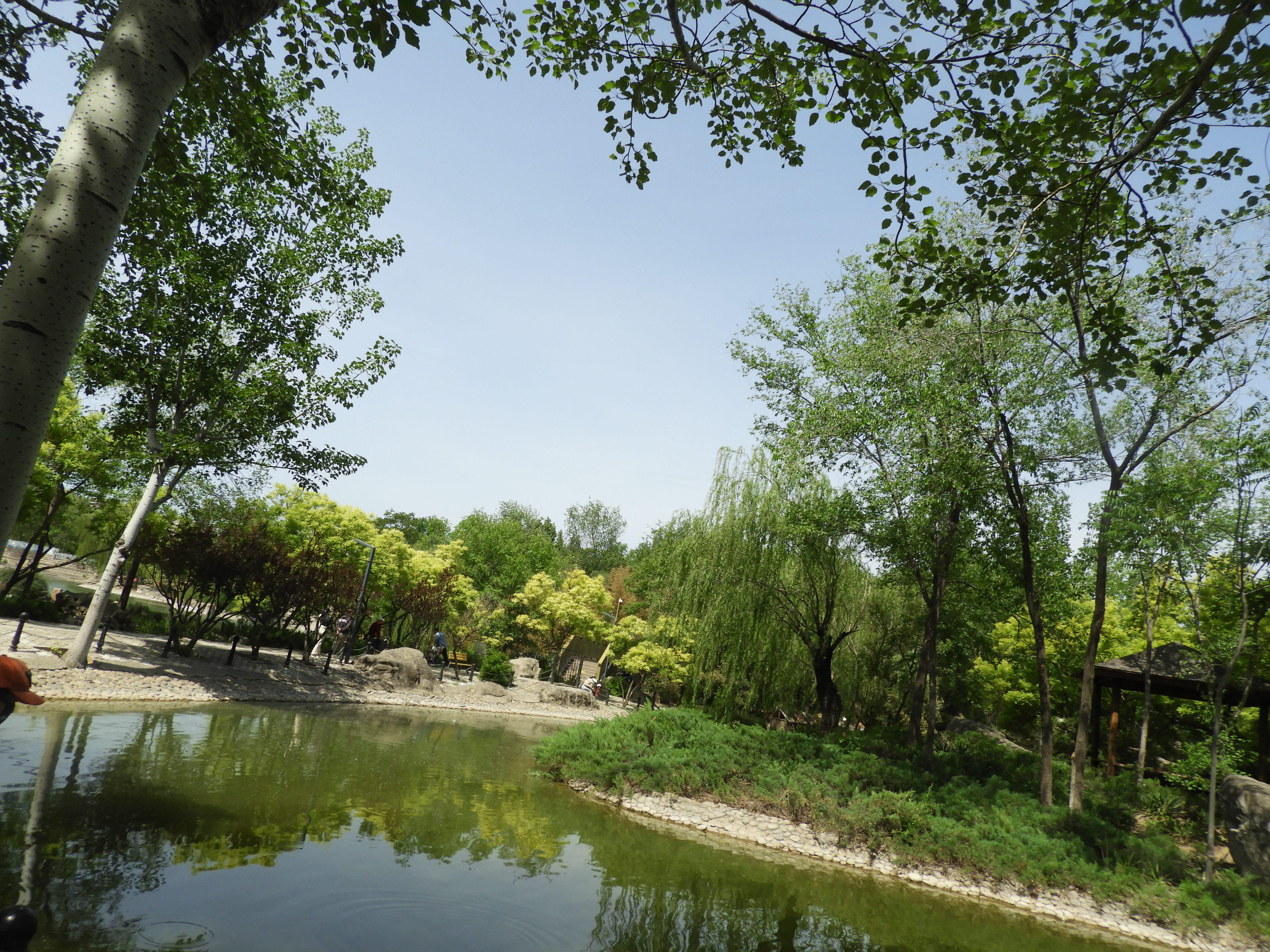 DSCN6530.JPG