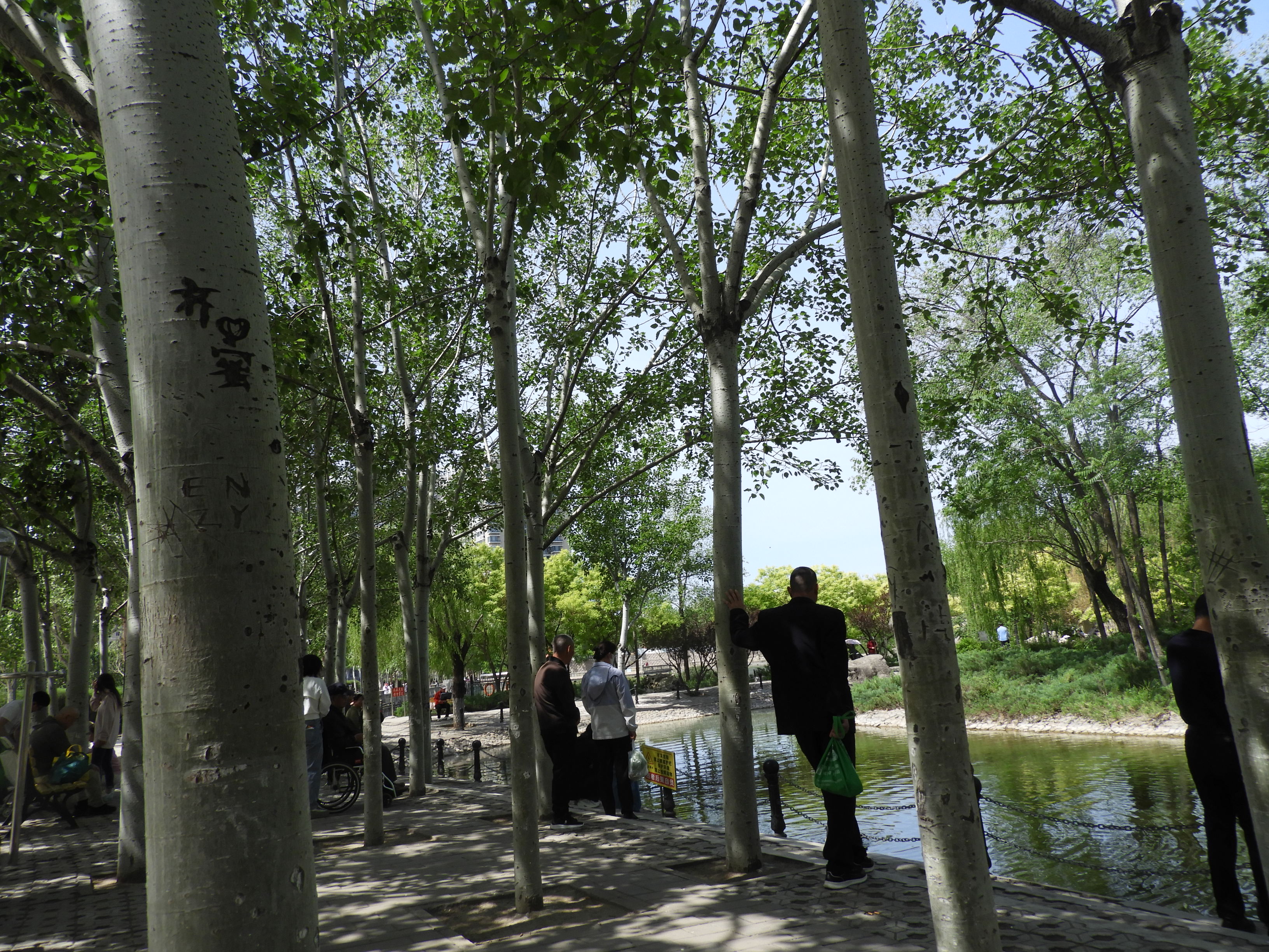 DSCN6527.JPG