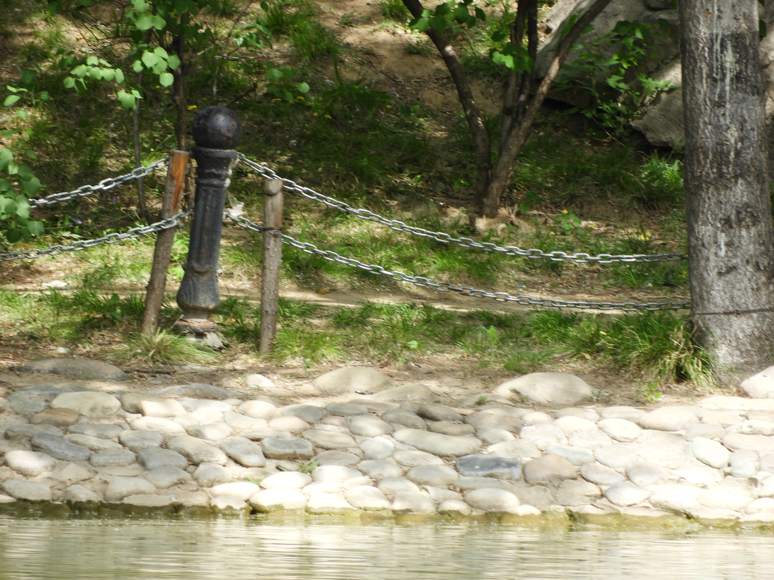 DSCN6523.JPG