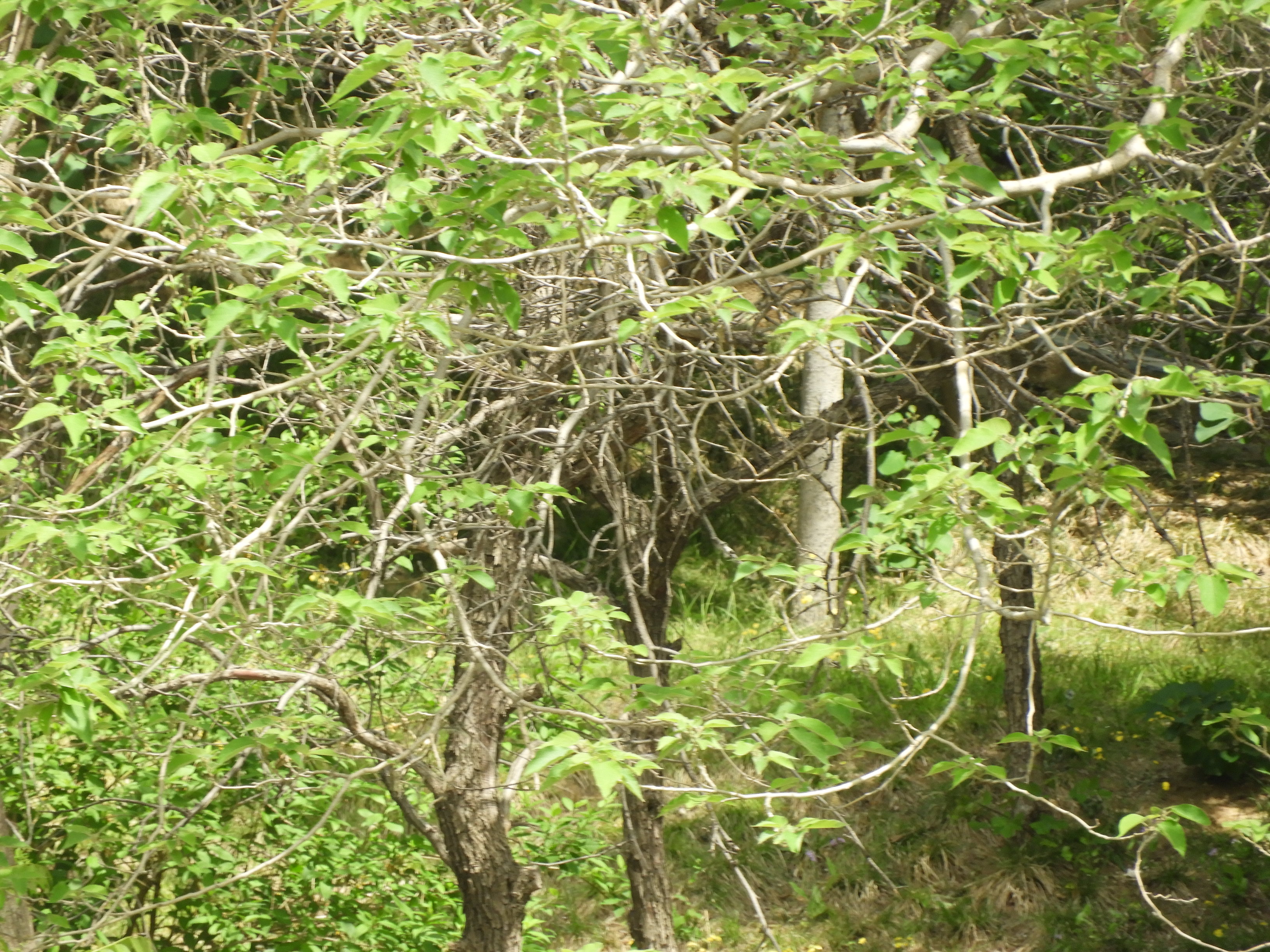 DSCN6522.JPG