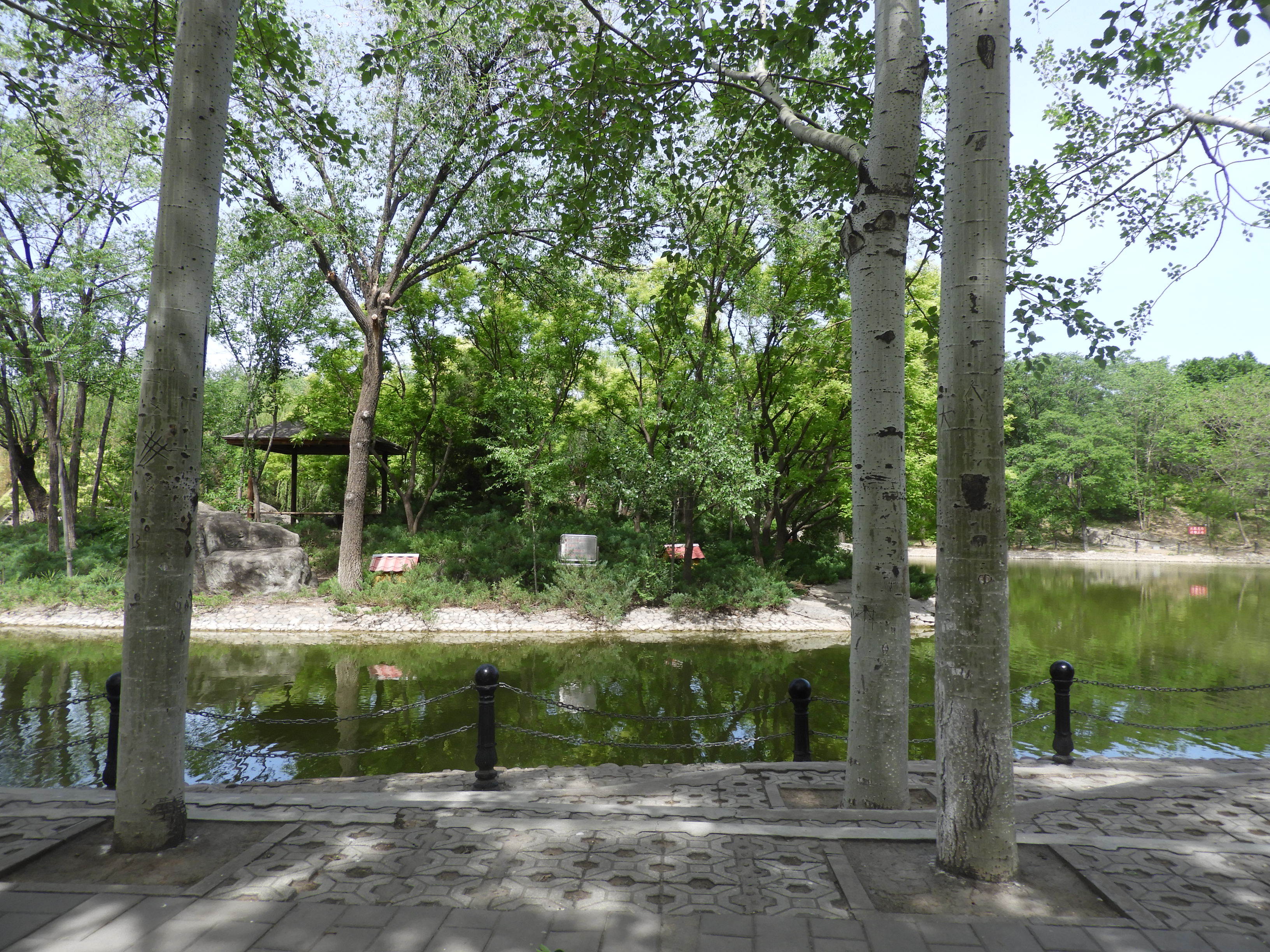 DSCN6520.JPG