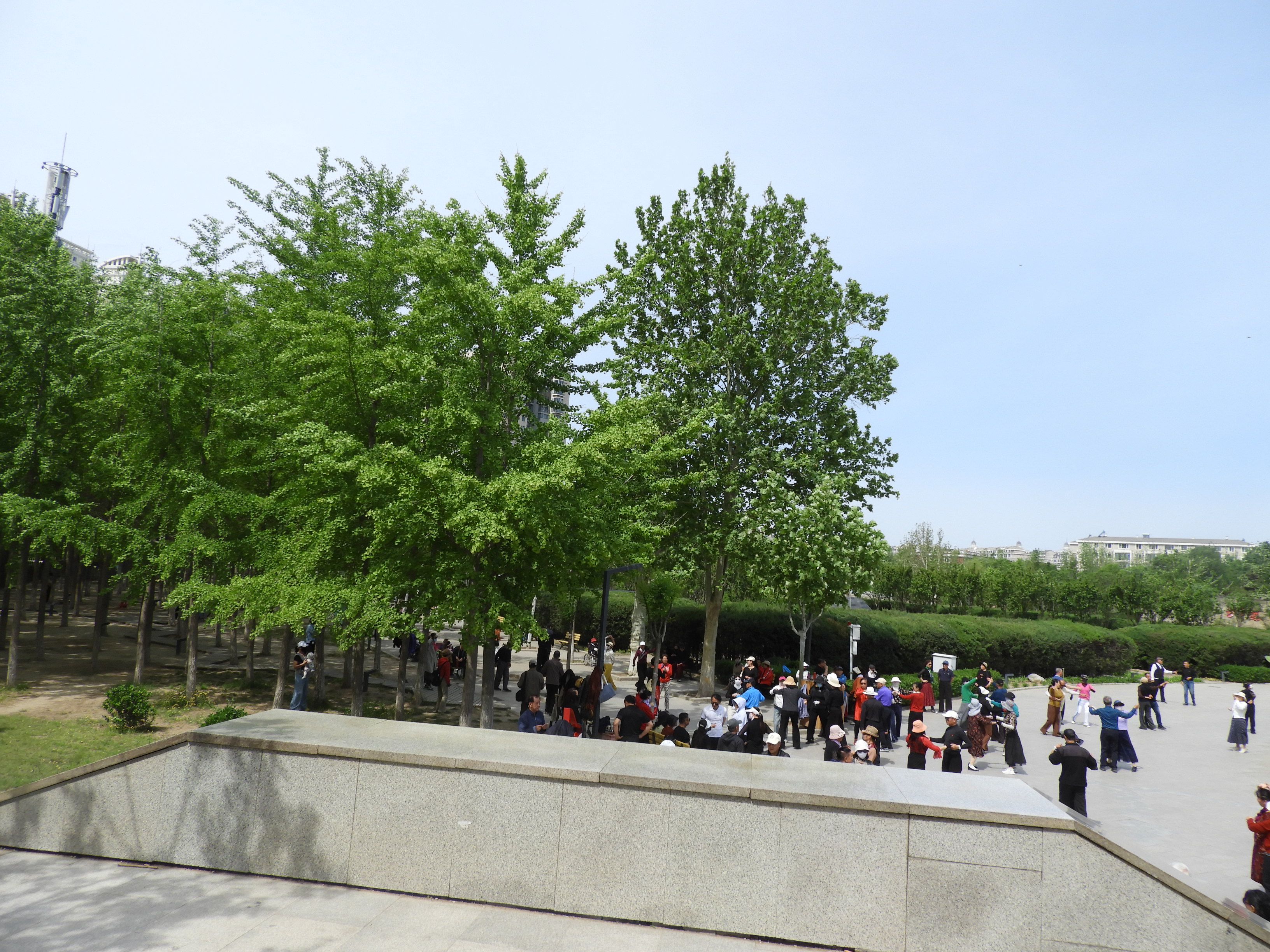 DSCN6512.JPG