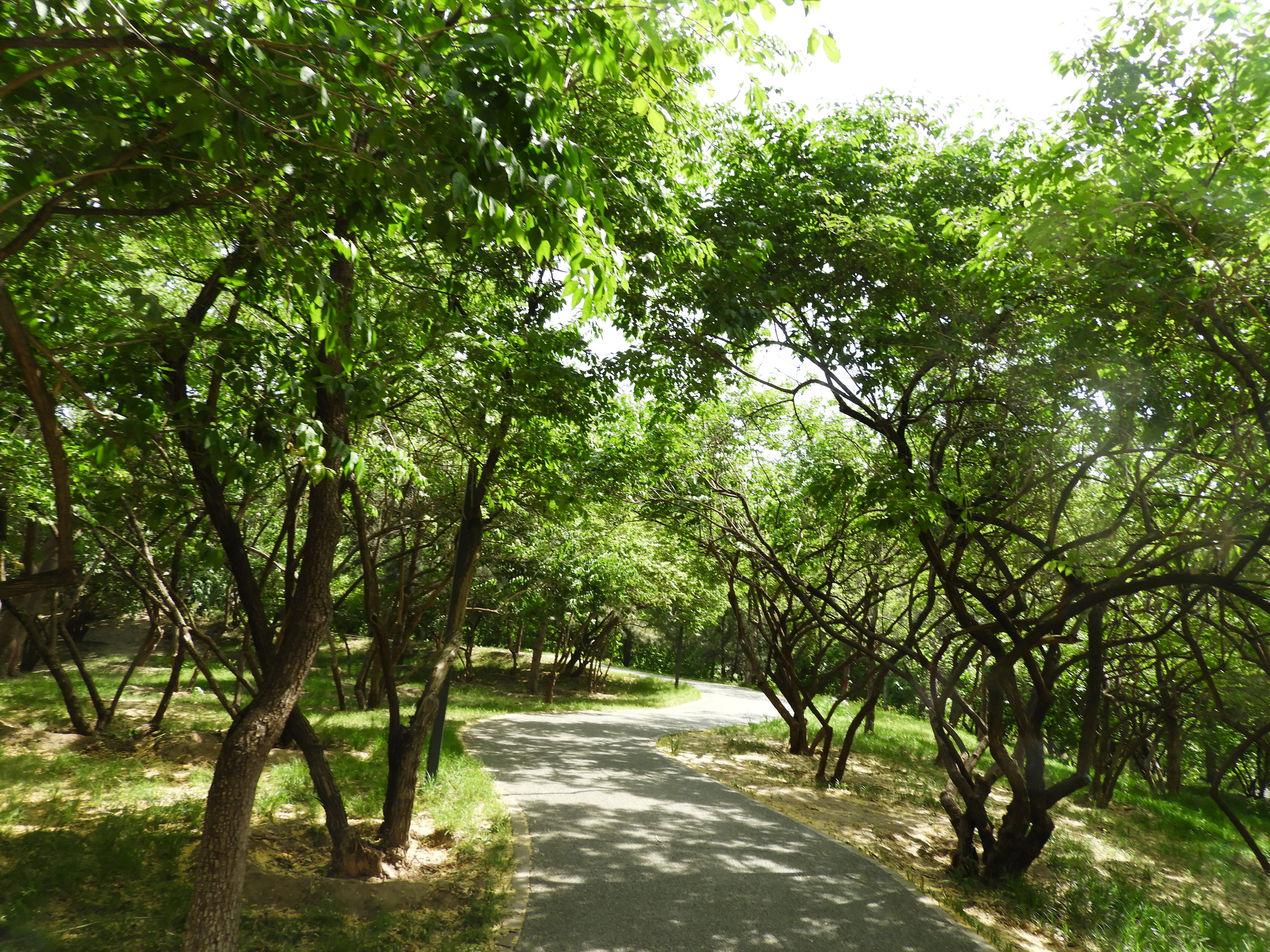 DSCN6498.JPG