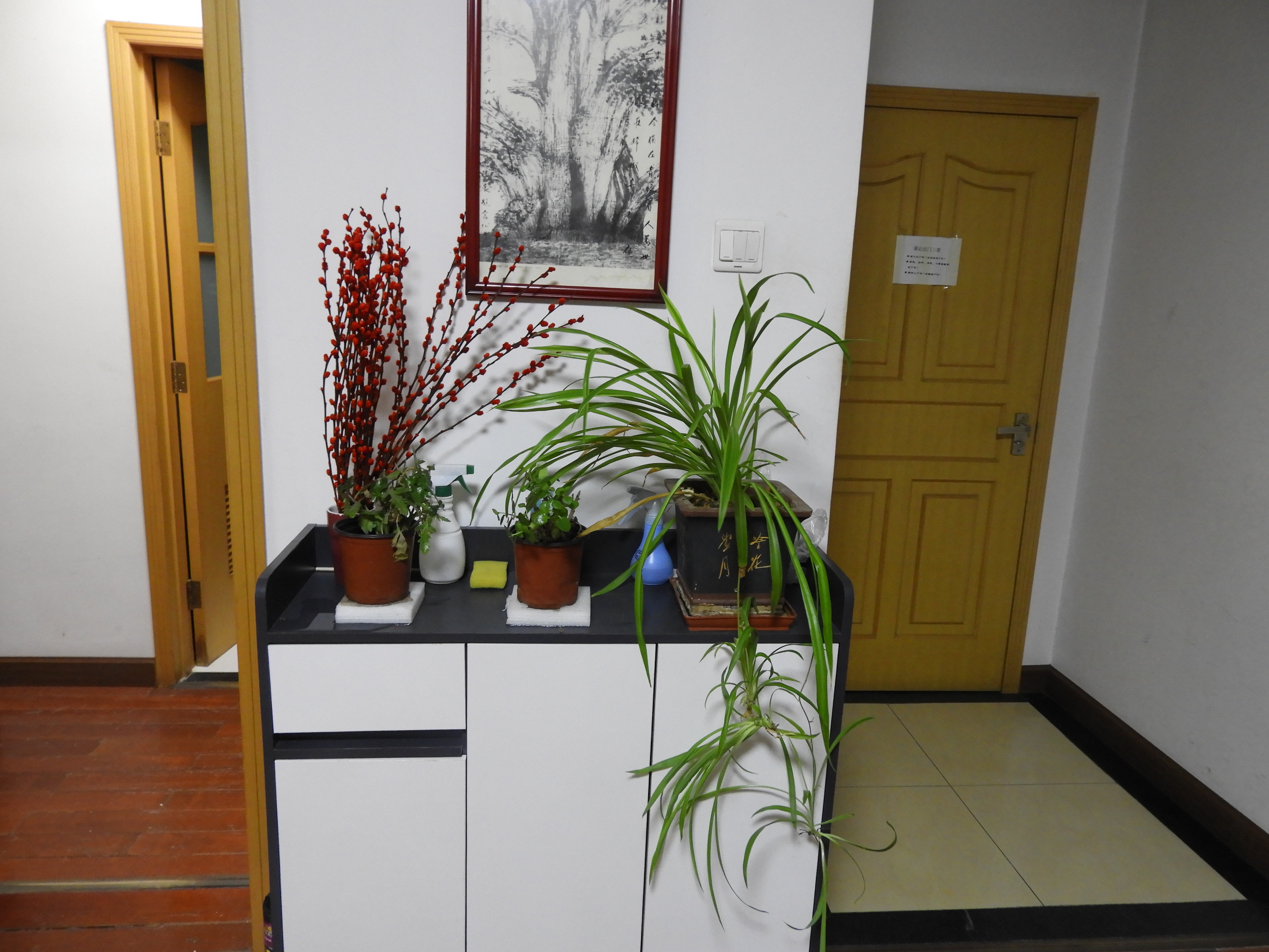 DSCN6619.JPG