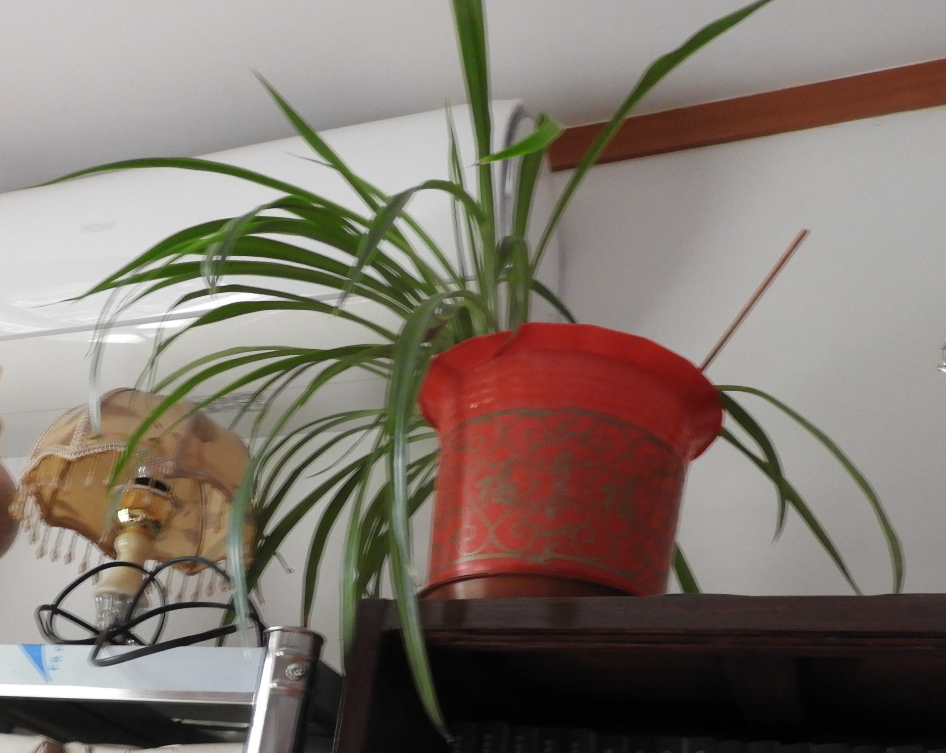 DSCN6616.JPG