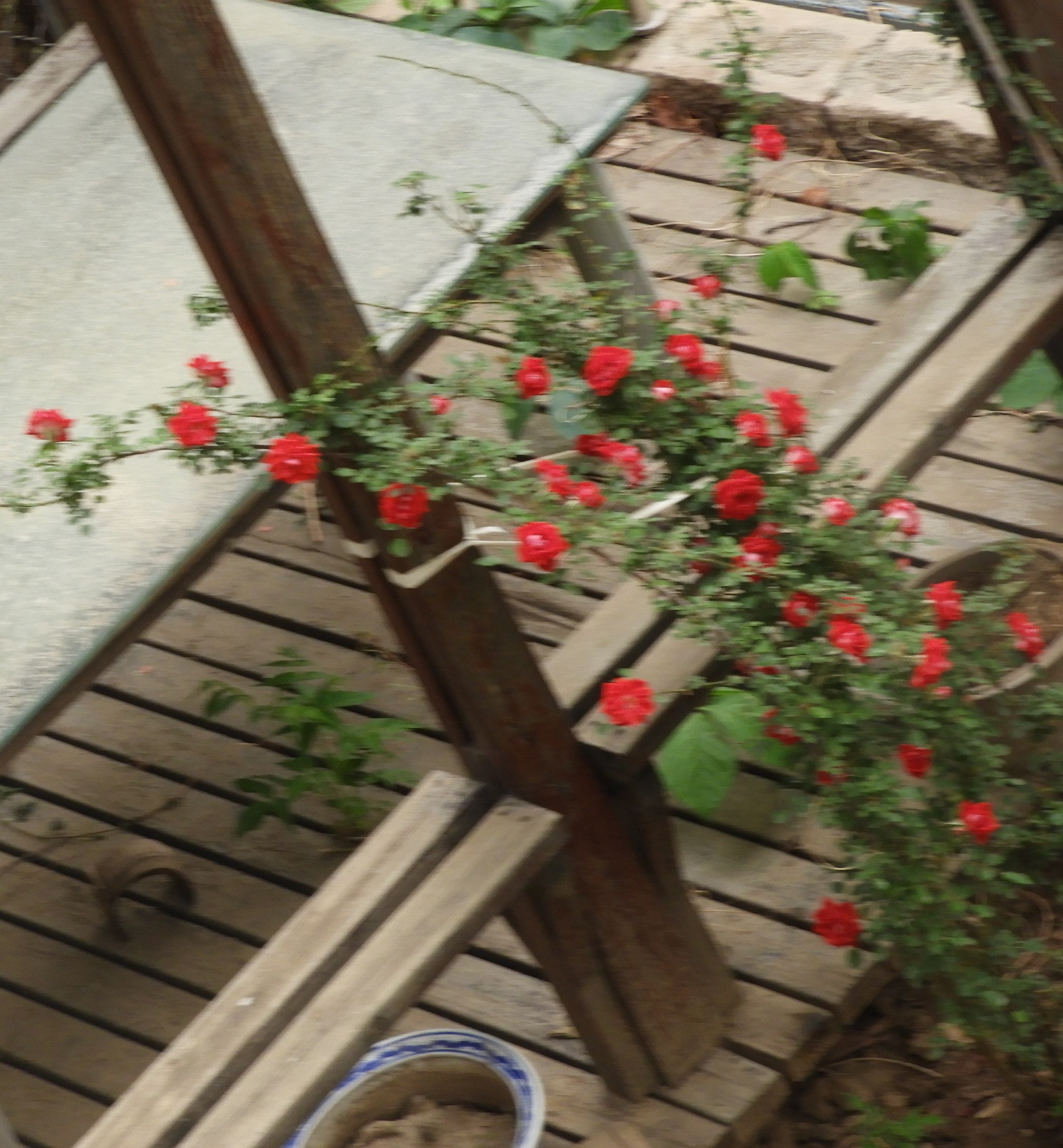 DSCN6605.JPG