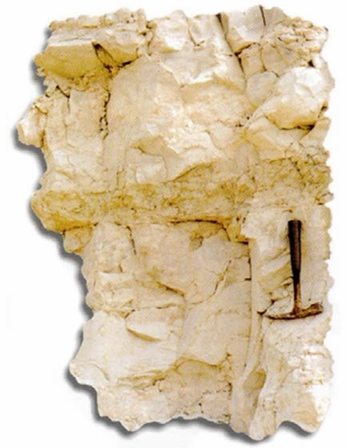 640 (1).png