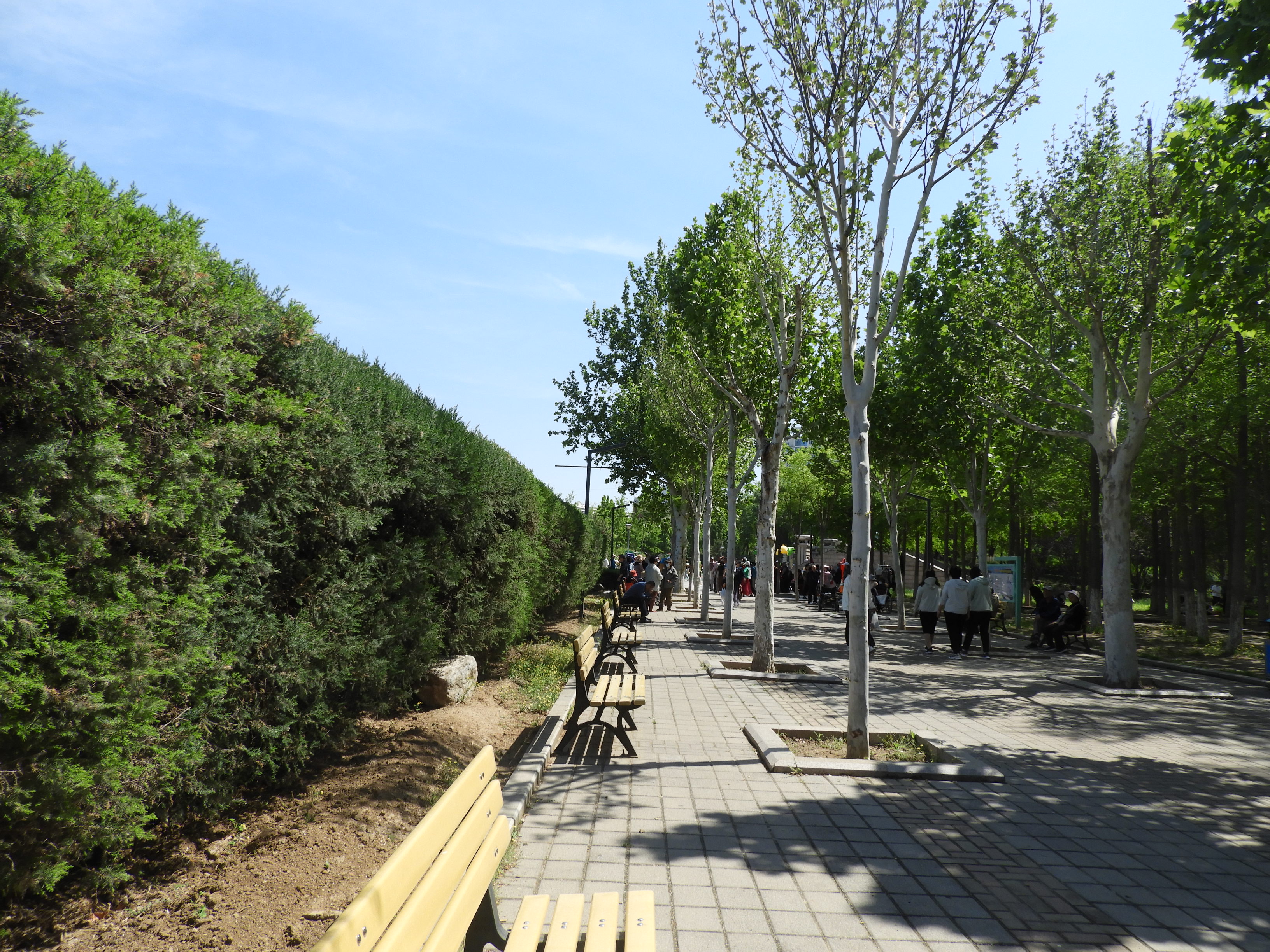 DSCN6684.JPG
