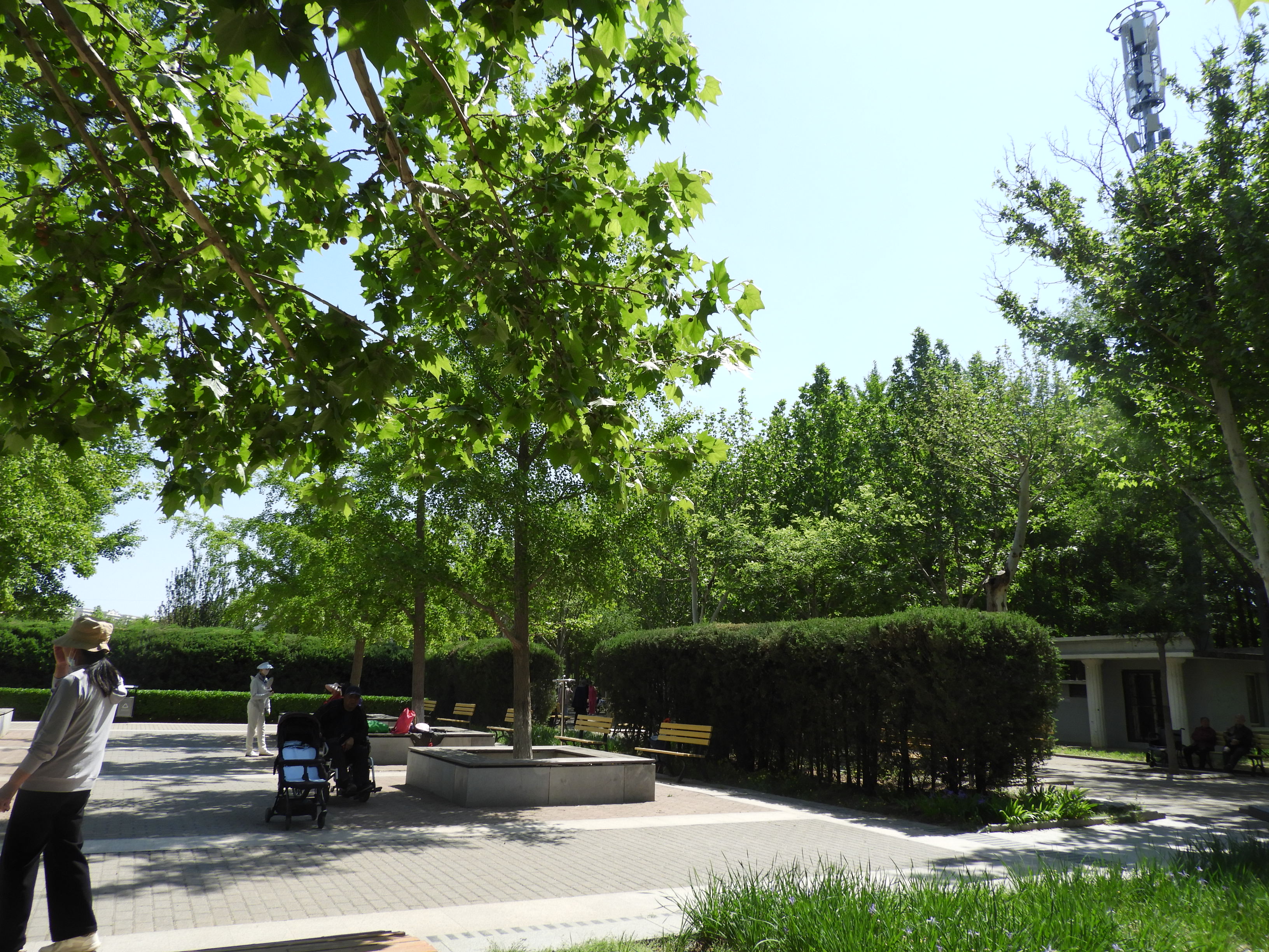 DSCN6680.JPG