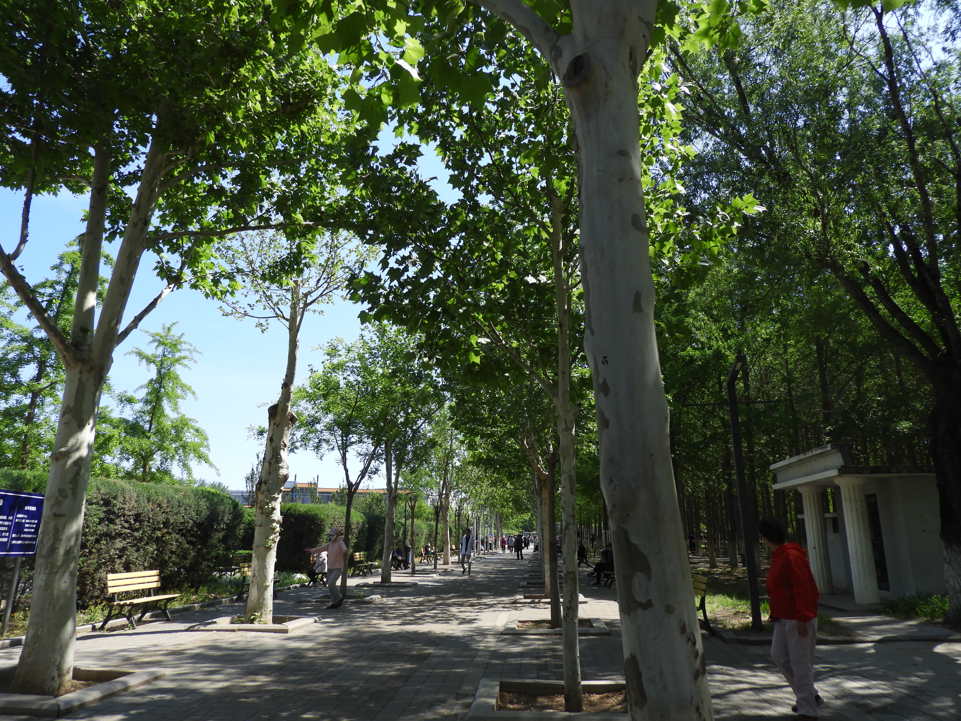 DSCN6642.JPG