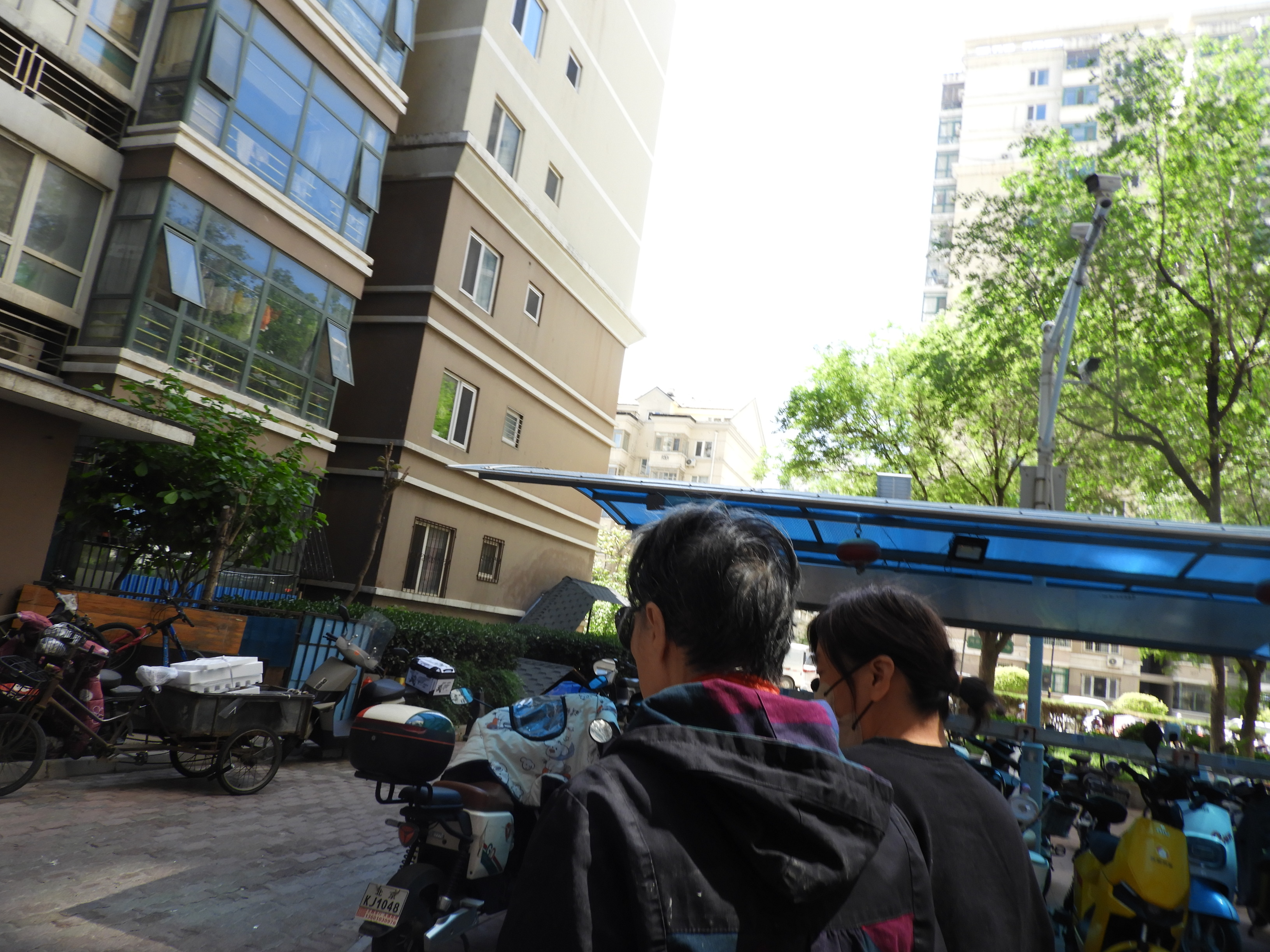 DSCN6709.JPG