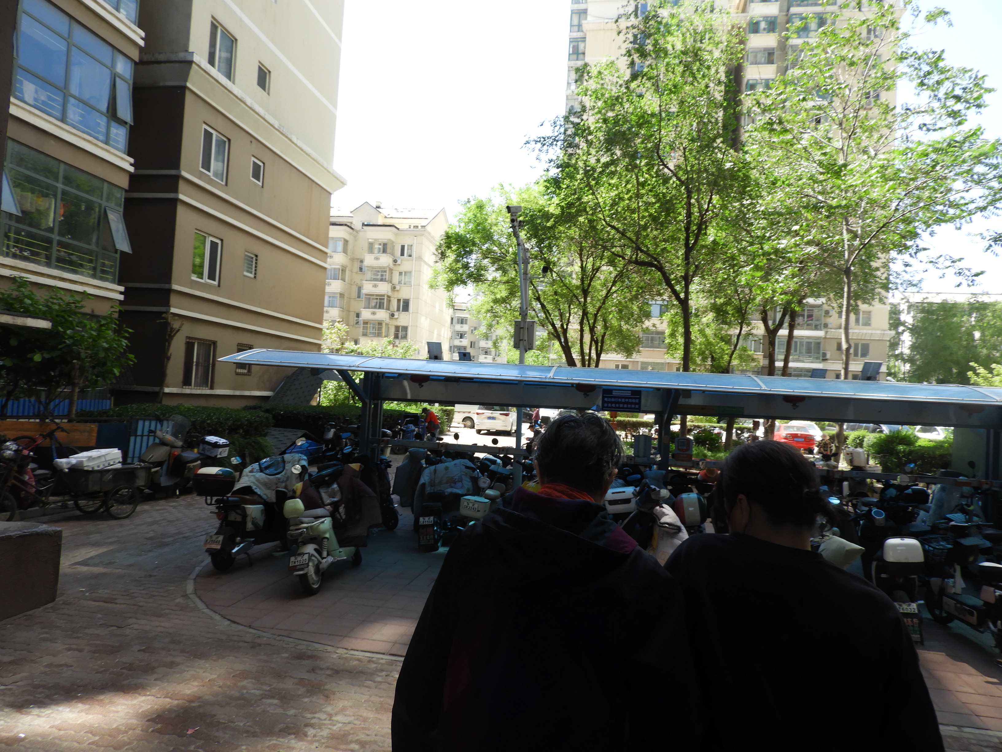 DSCN6708.JPG