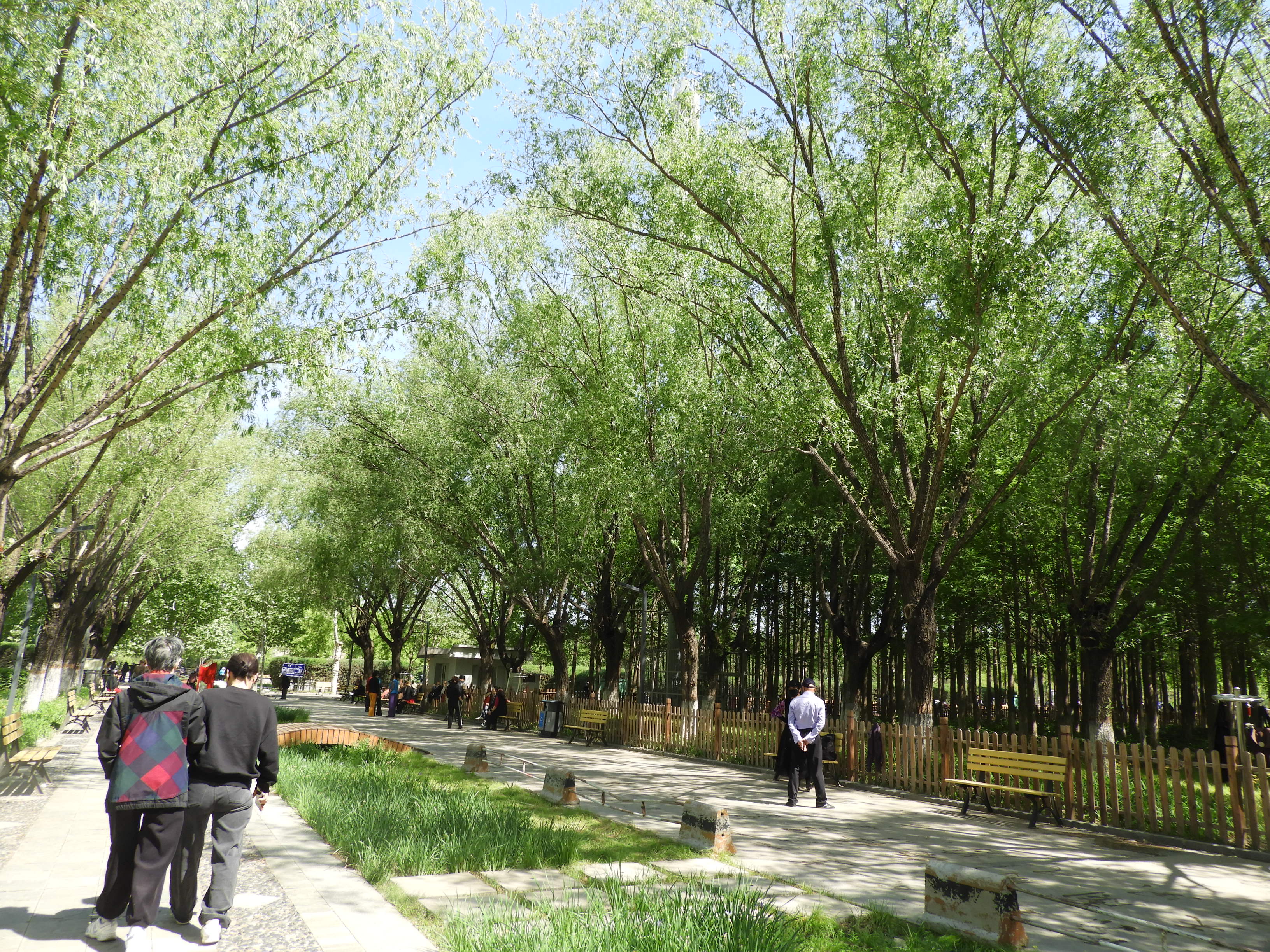 DSCN6637.JPG